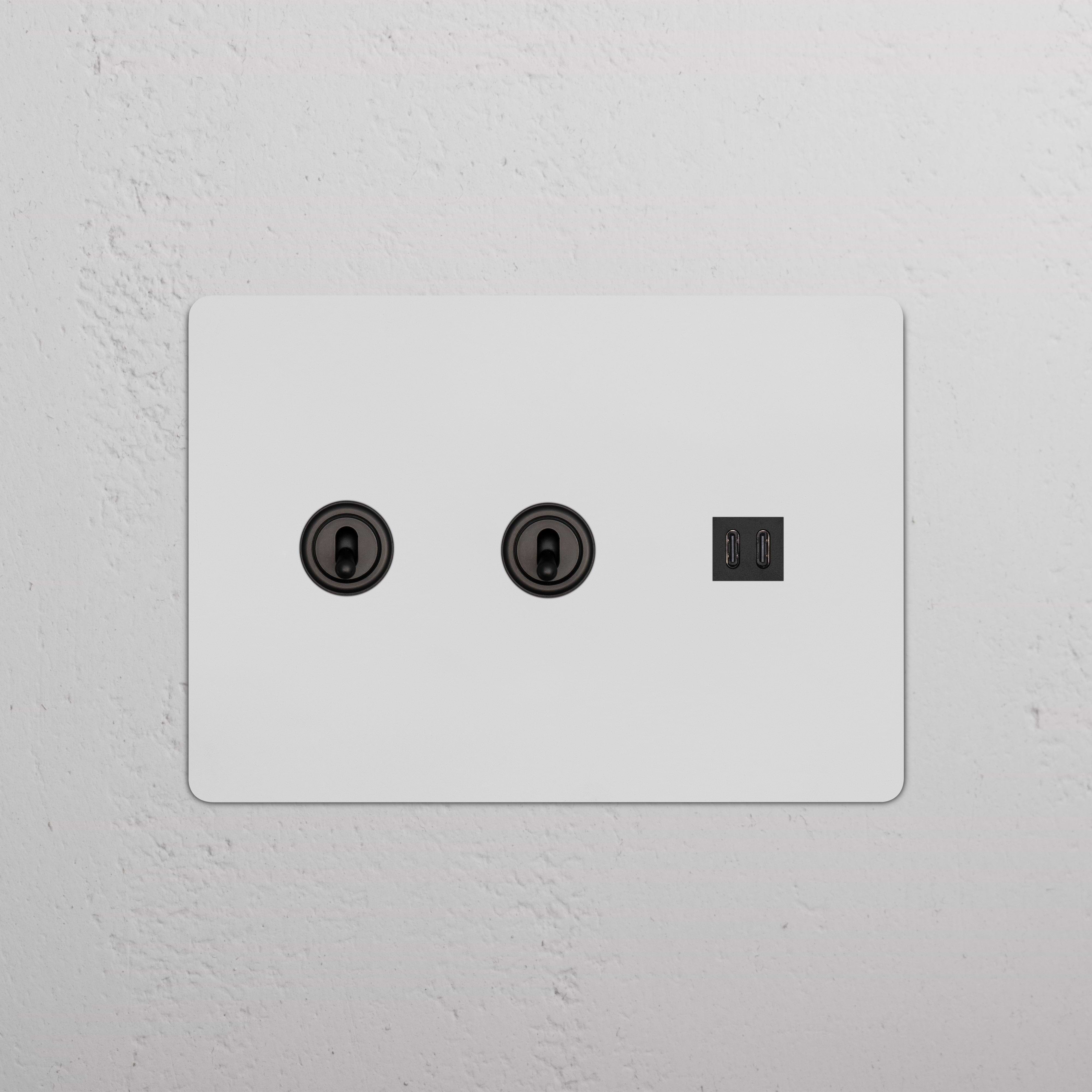 Kew 3G 2x Toggle Switch & Fast Charge USB in paintable bronze black finish, wall-mounted plate.