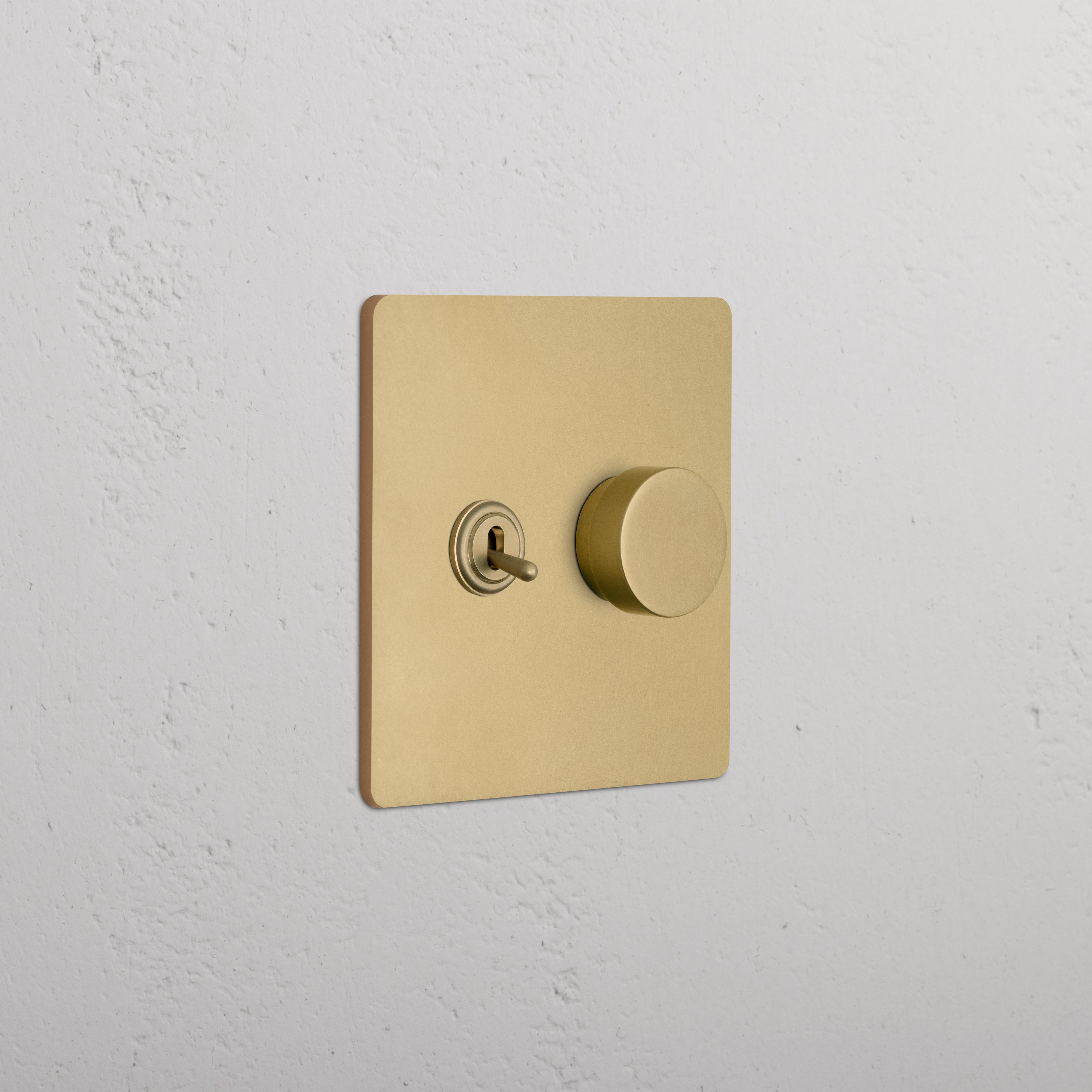 Grove 2G Toggle & Dimmer Switch in Antique Brass with toggle and dimmer knob on a square brass plate.