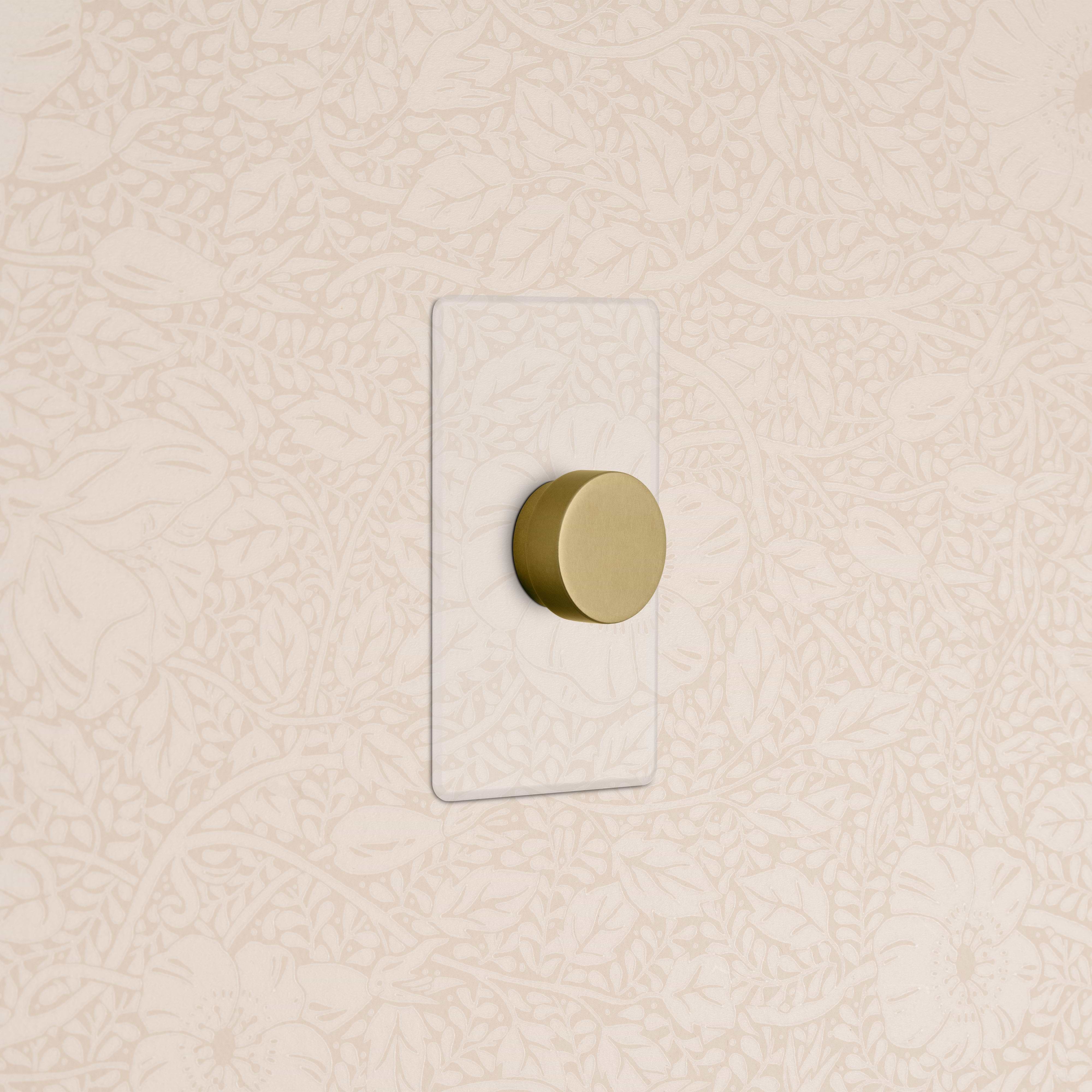 Kew 1G Dimmer Switch in clear antique brass, mounted on a clear rectangular plate on a patterned wall.