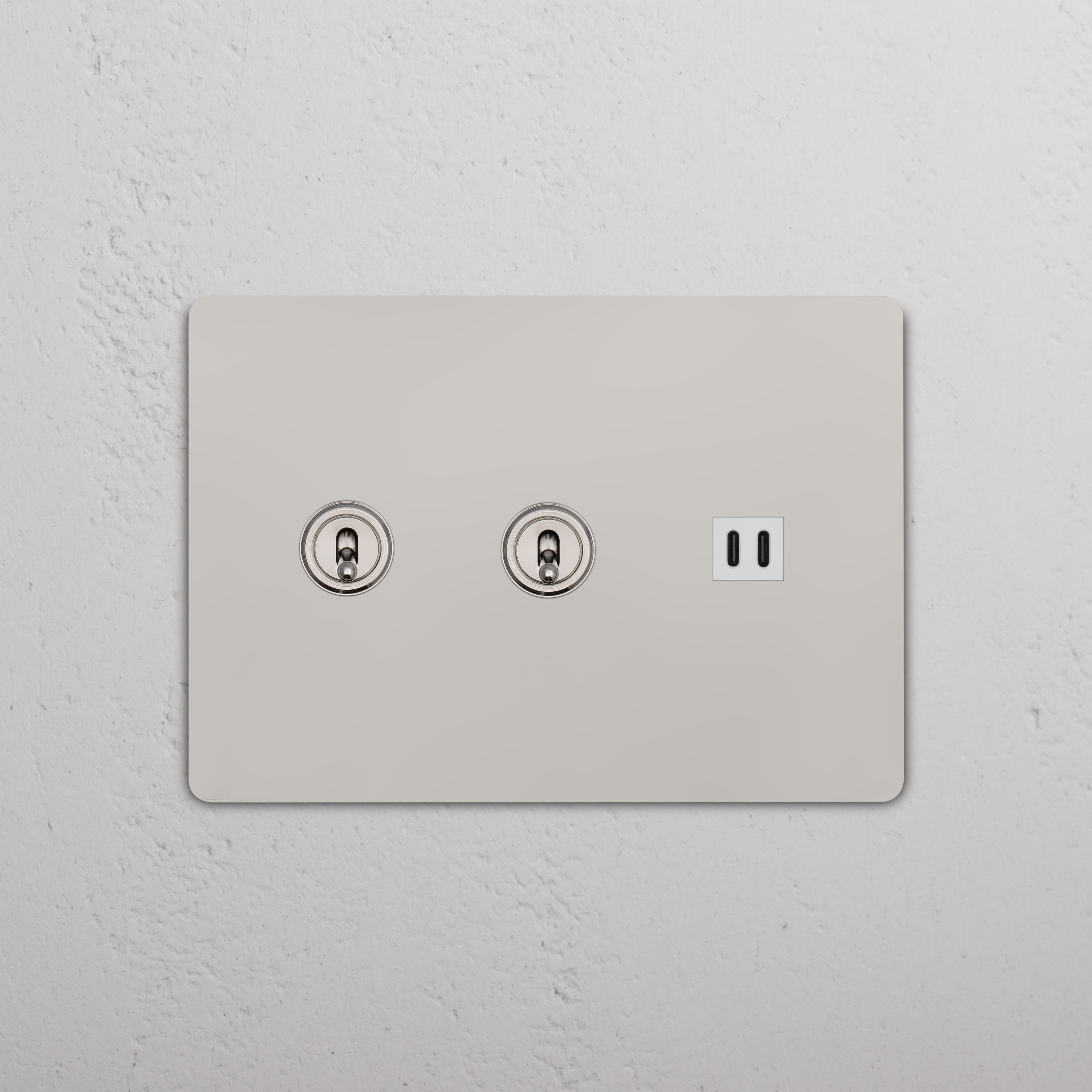 Grove 3G 2x Toggle Switch & Fast Charge USB wall plate in polished nickel white, with two toggles and USB port.