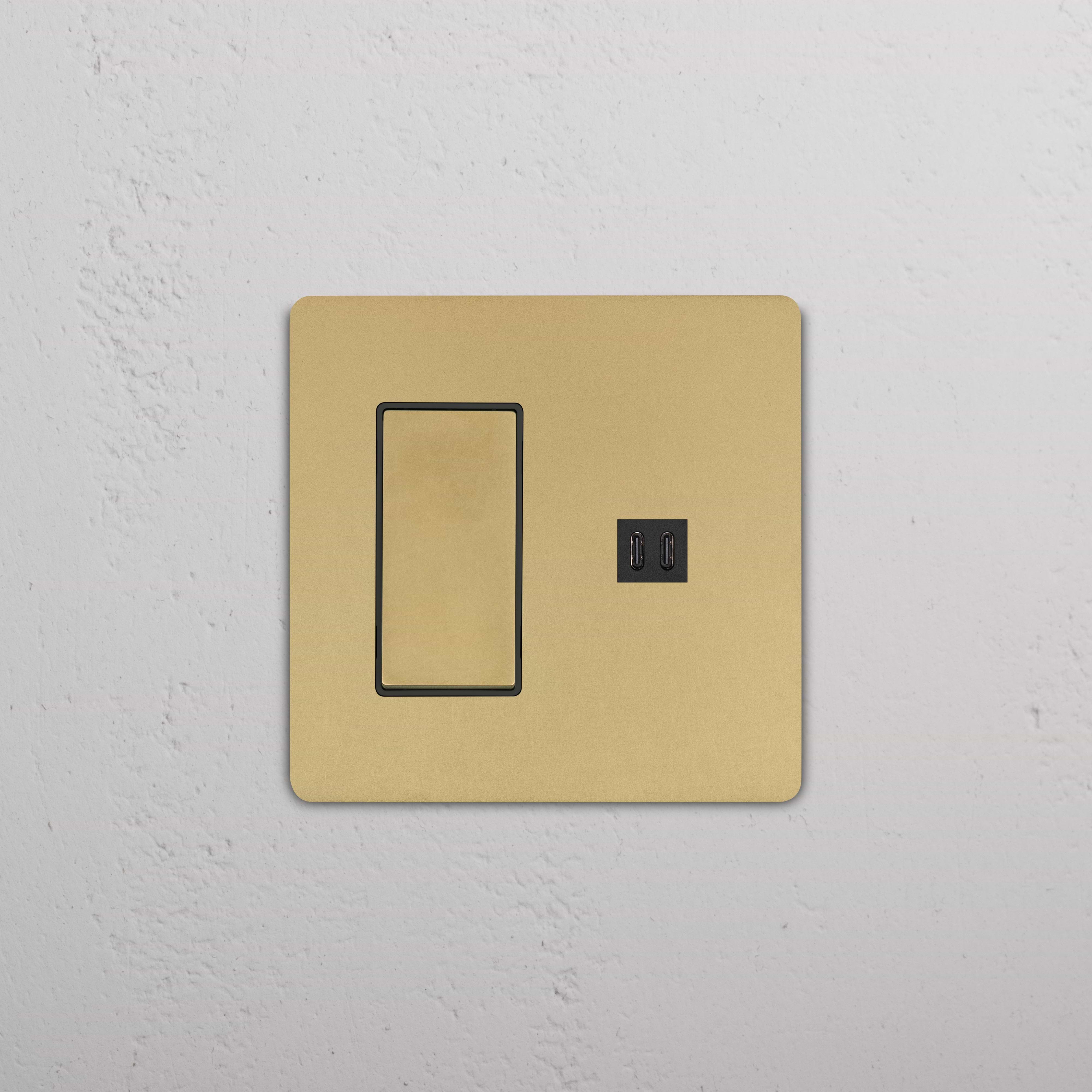 Grove 2G Rocker Switch & Fast Charge USB in Antique Brass Black, with rocker switches and dual USB ports.