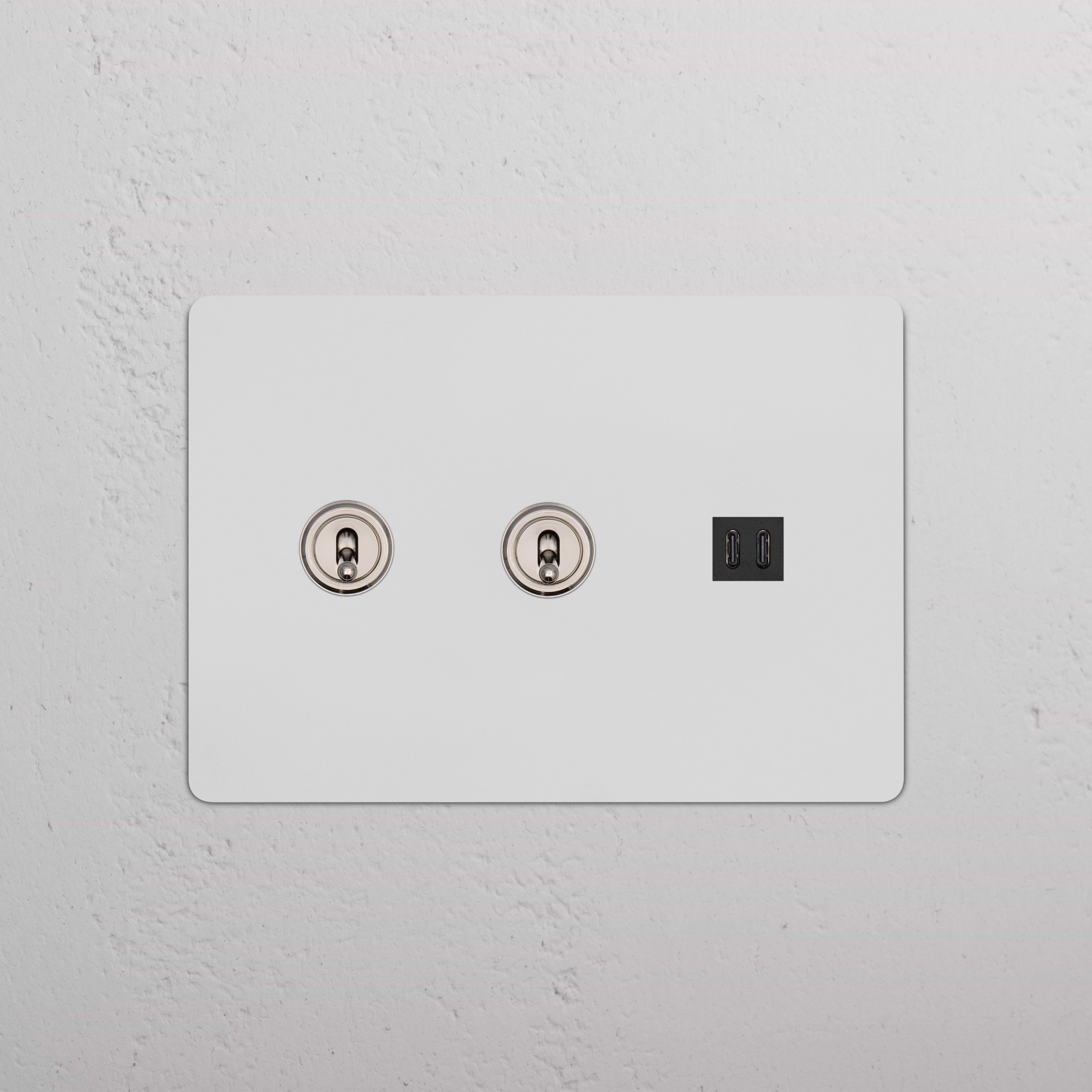 Kew 3G 2x Toggle Switch & Fast Charge USB in paintable polished nickel black with two toggles and USB ports.