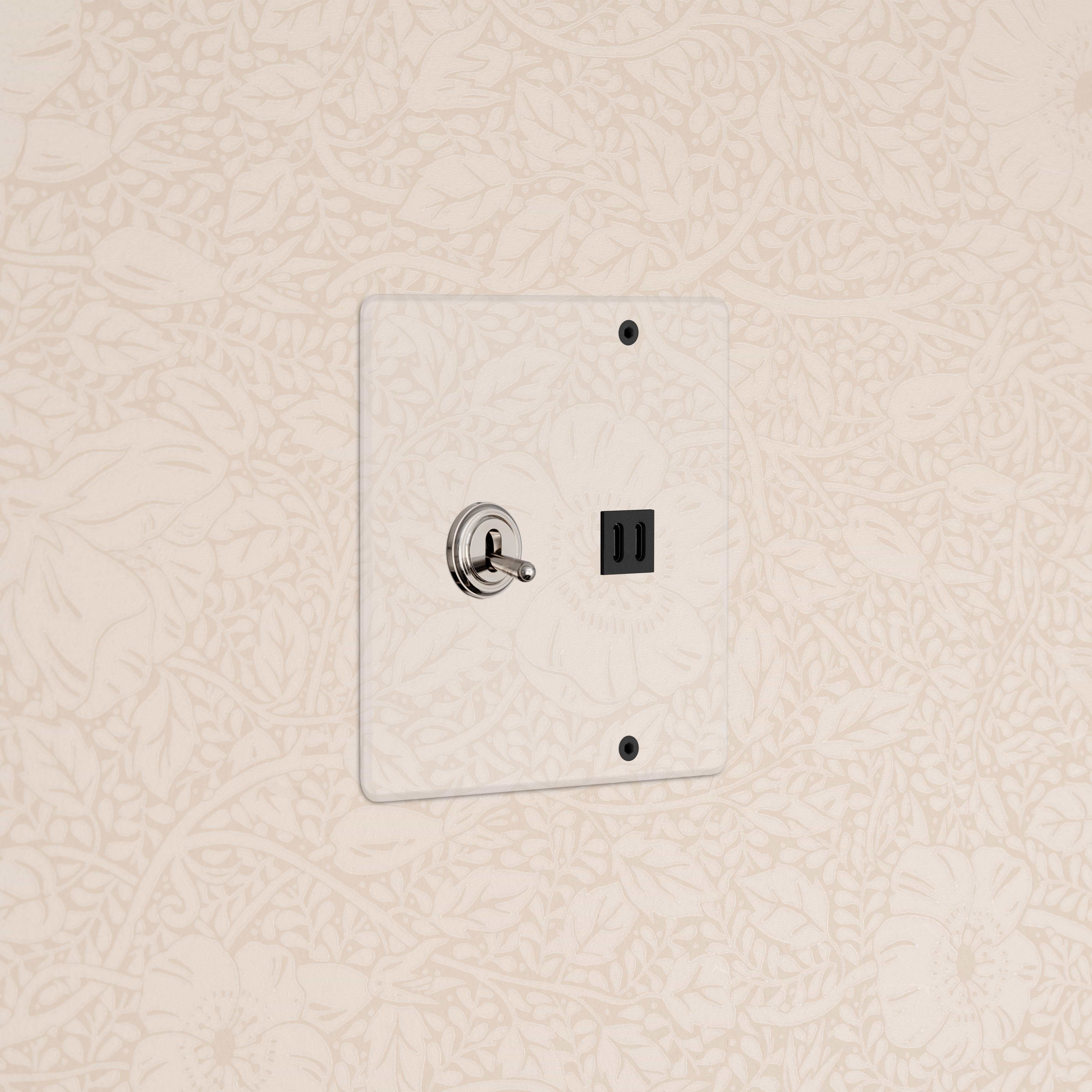 Kew 2G Toggle Switch & Fast Charge USB in Clear Polished Nickel Black on clear plate, shown on floral wall.