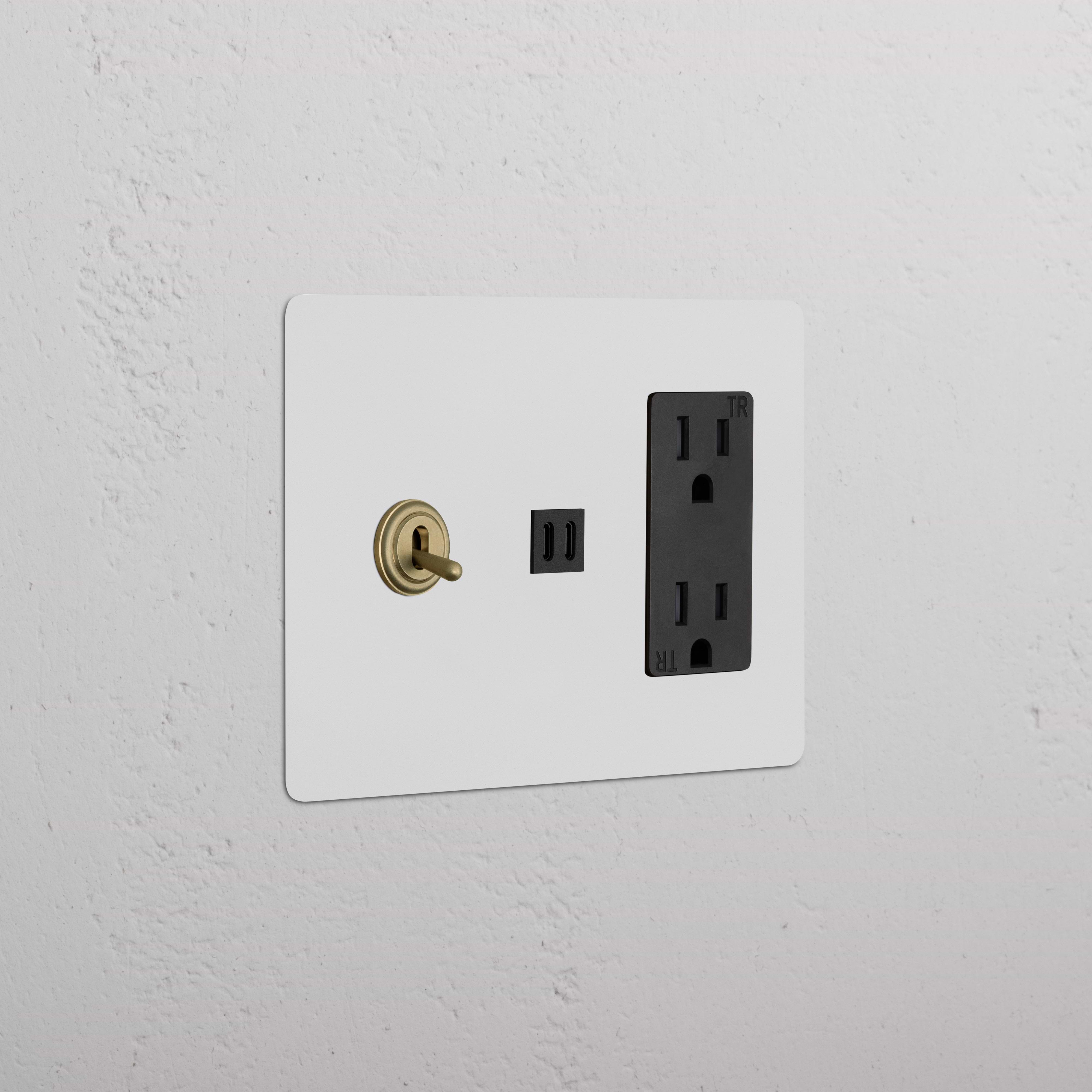 Kew 3G Toggle Switch with paintable antique brass finish, black outlet, and fast charge USB port on wall plate.