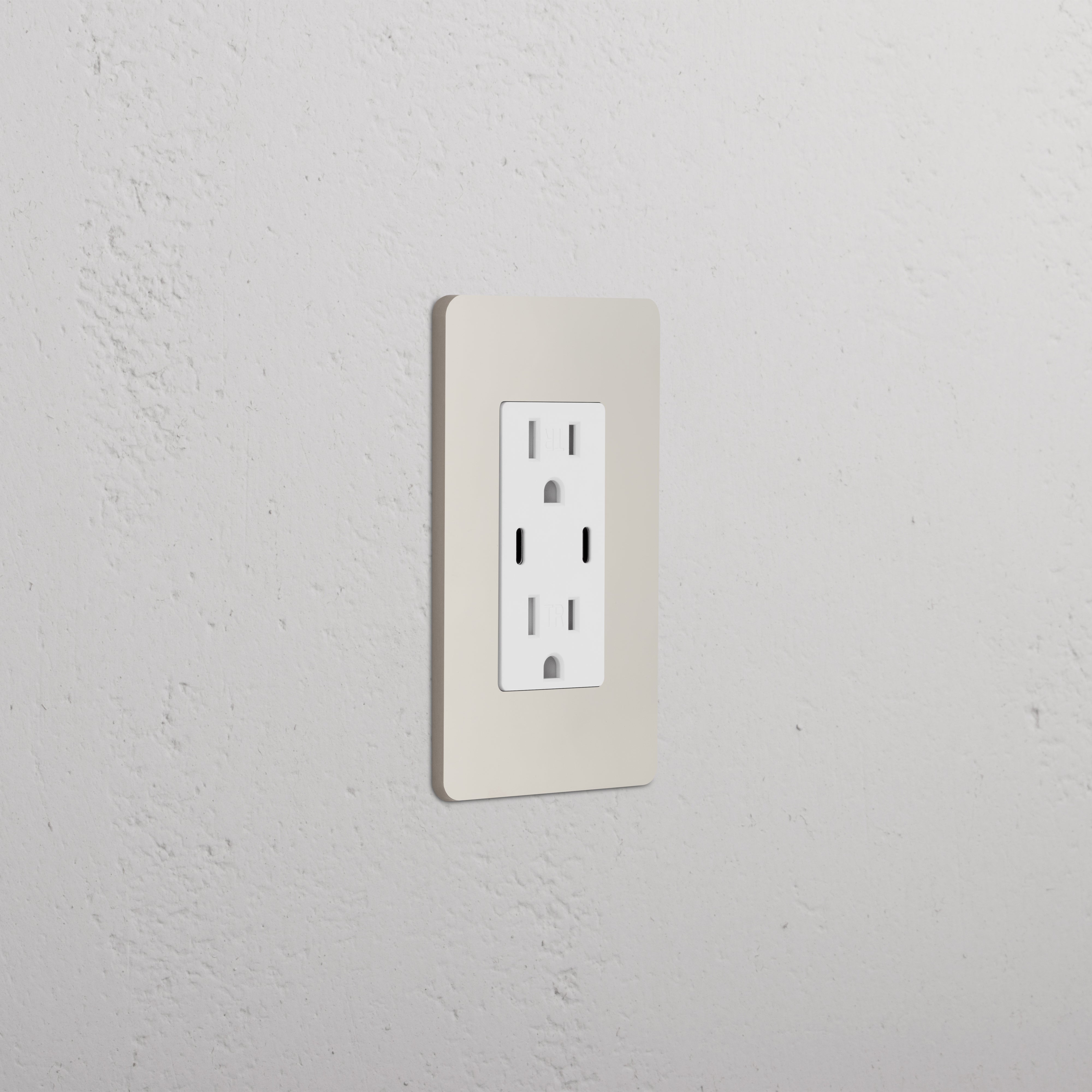 Grove 1G 15A USB Outlet in Polished Nickel White with two sockets and USB ports on a wall.