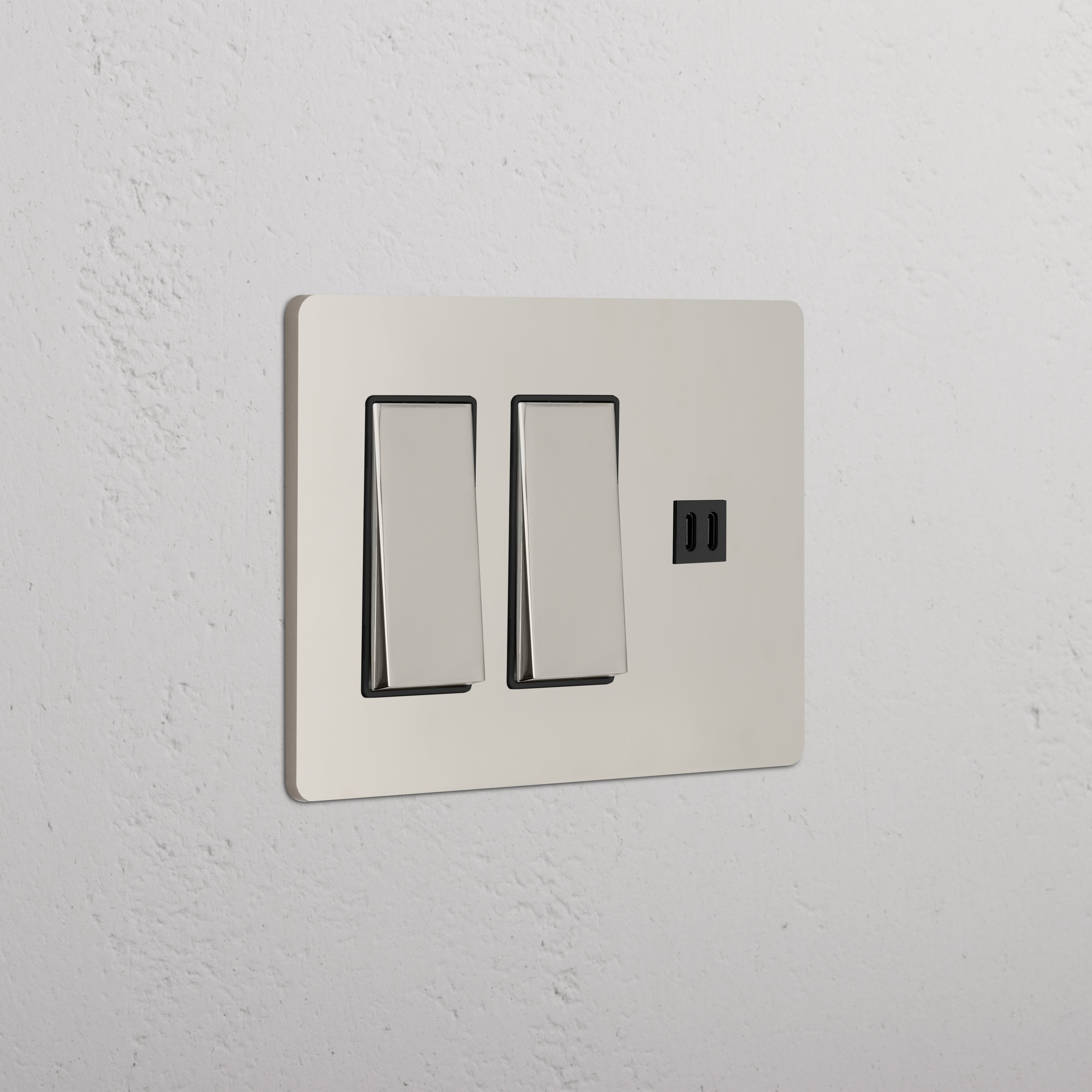 Grove 3G 2x Rocker Switch & Fast Charge USB in Polished Nickel Black with two switches and a USB port.