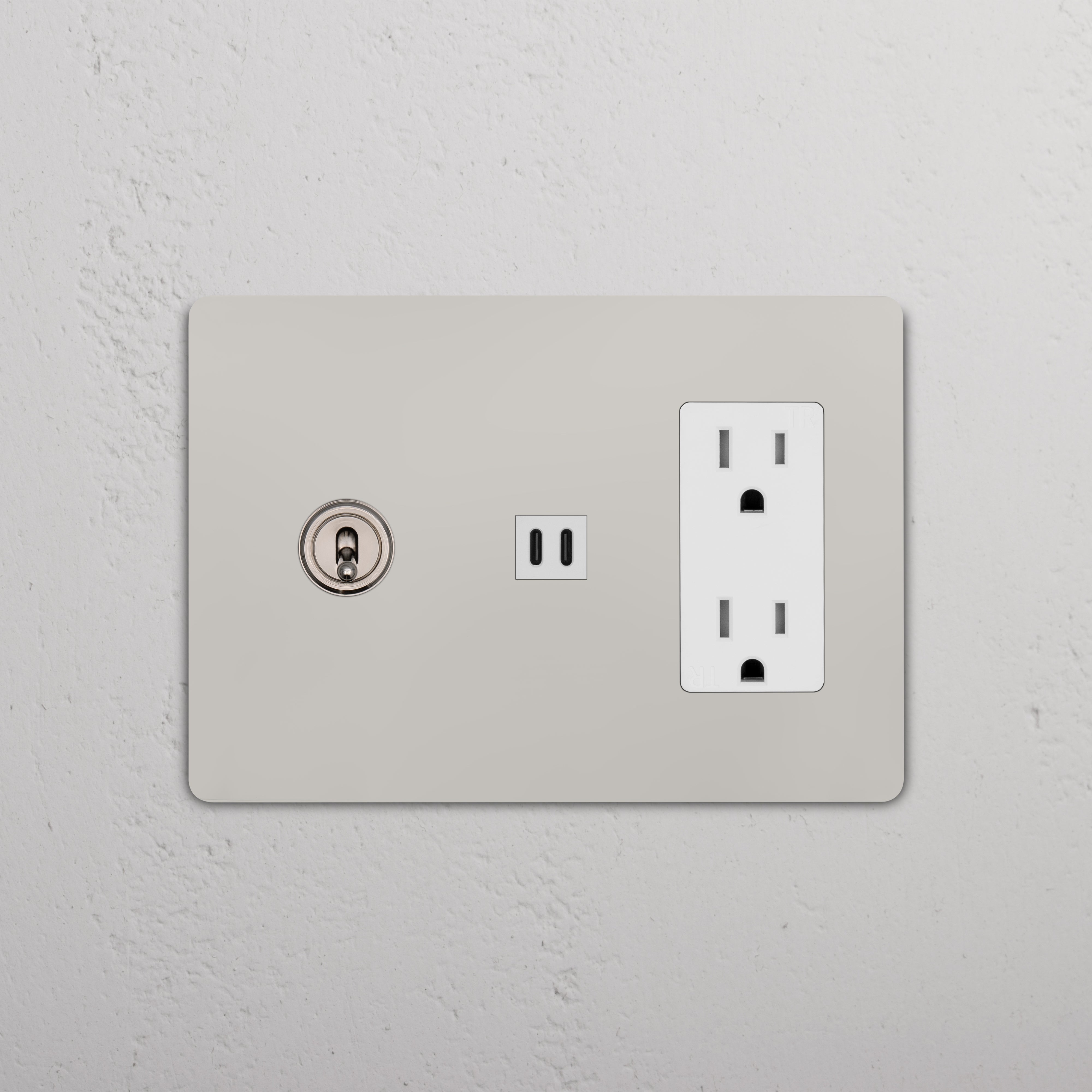 Polished nickel white Grove 3G toggle switch, standard outlet, and fast charge USB in a wall plate.
