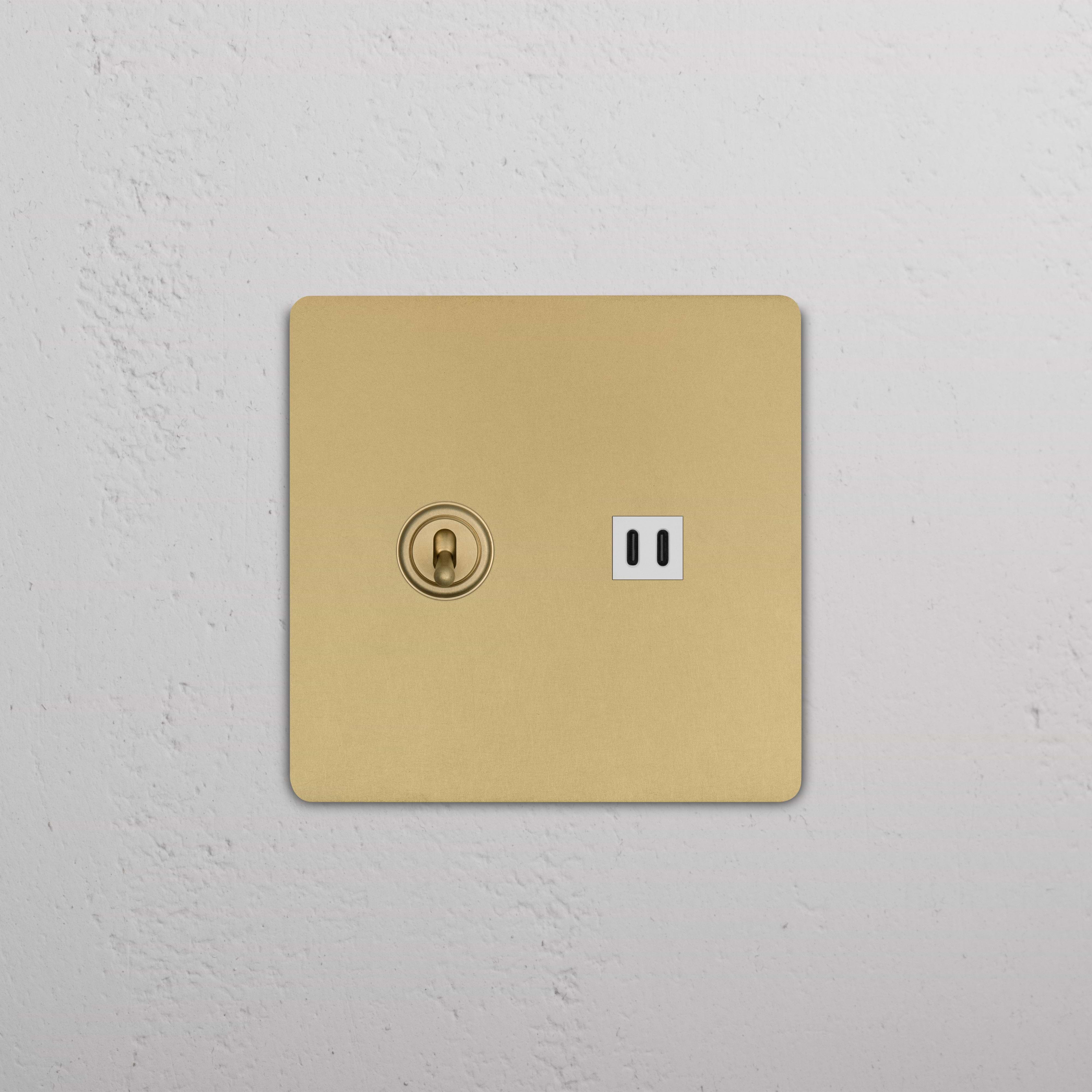 Grove 2G Toggle Switch & Fast Charge USB in antique brass and white, wall-mounted switch plate.