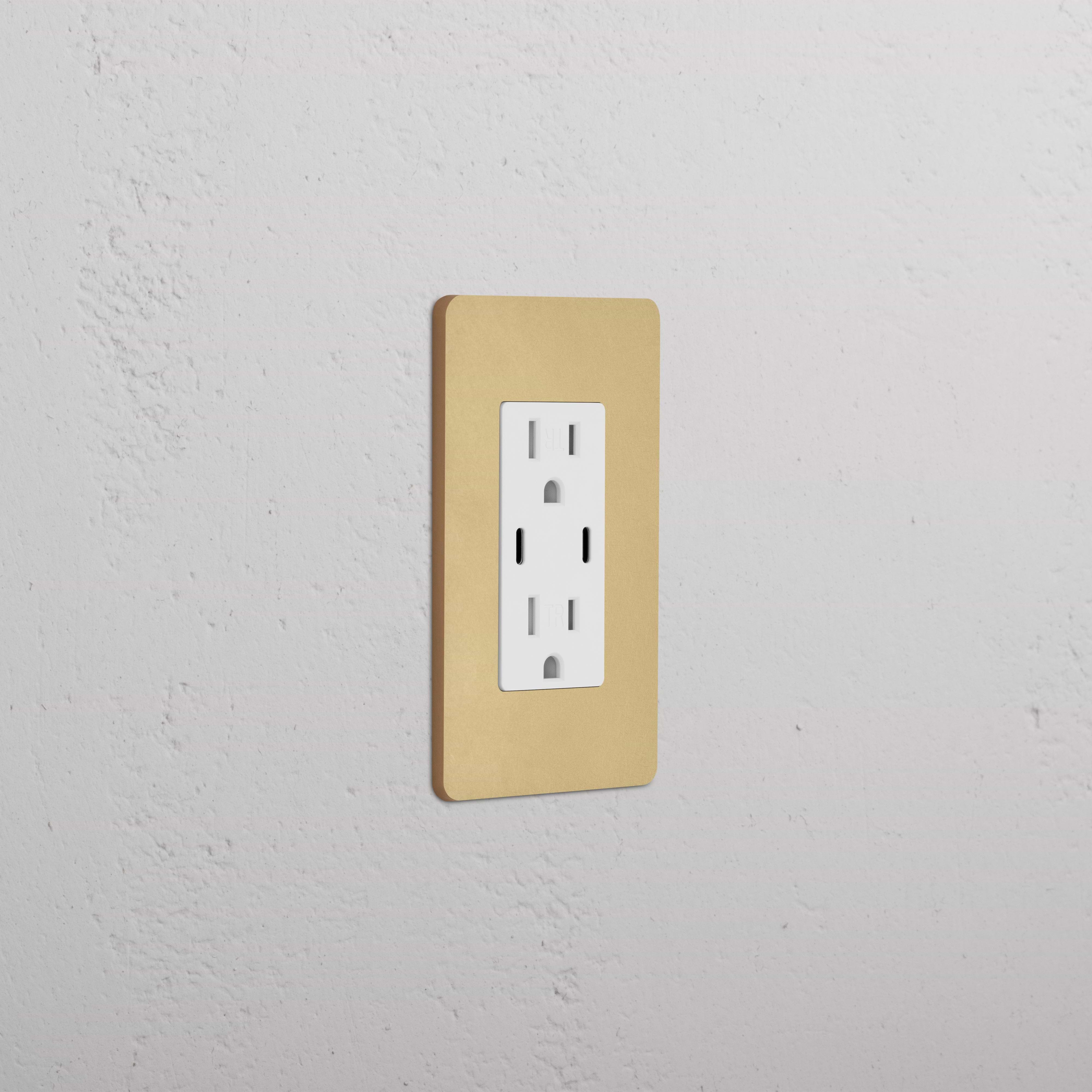Grove 1G 15A USB Outlet in Antique Brass White finish, featuring two sockets and USB ports.