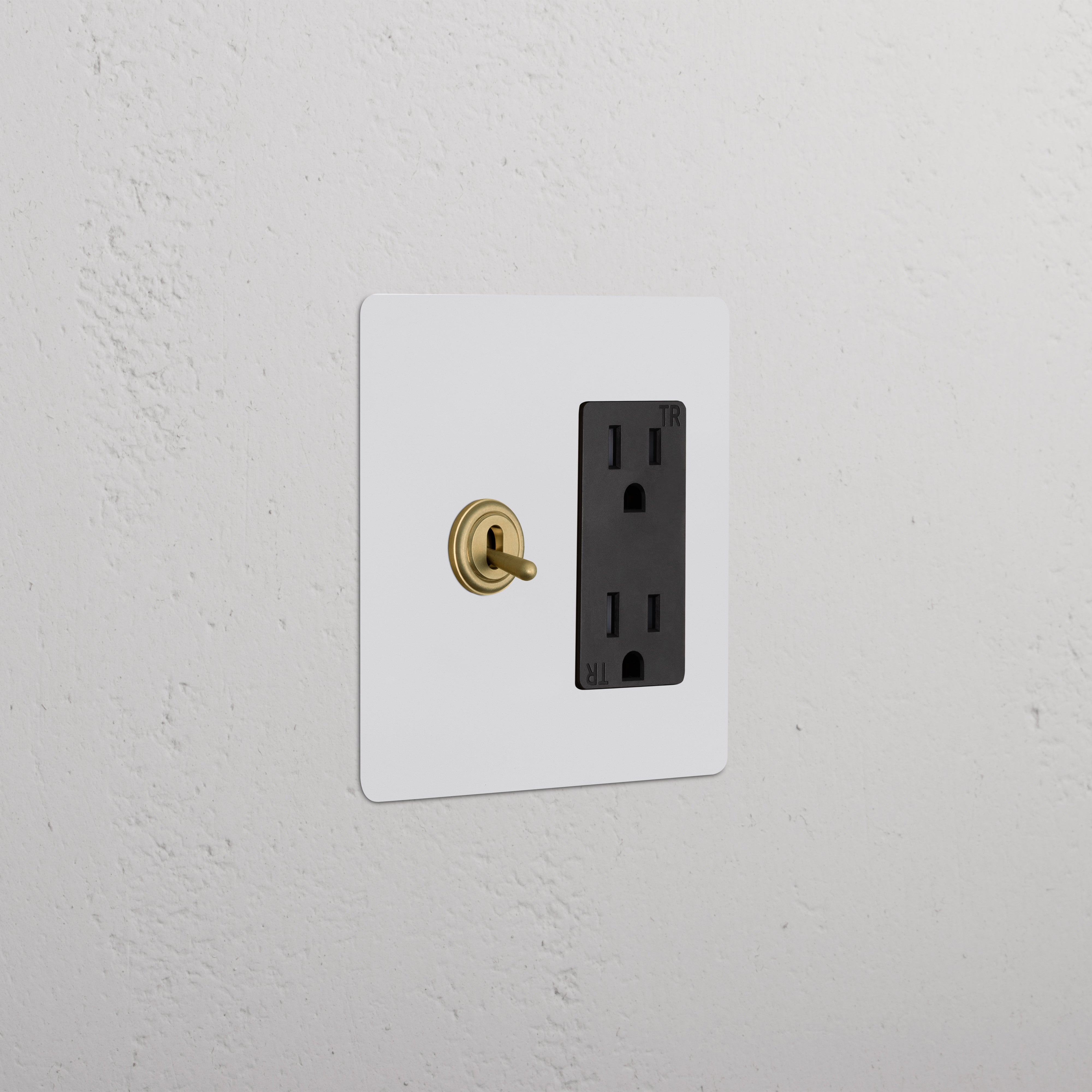 Kew 2G Toggle Switch & Outlet with paintable antique brass black finish, gold toggle, and black double socket.