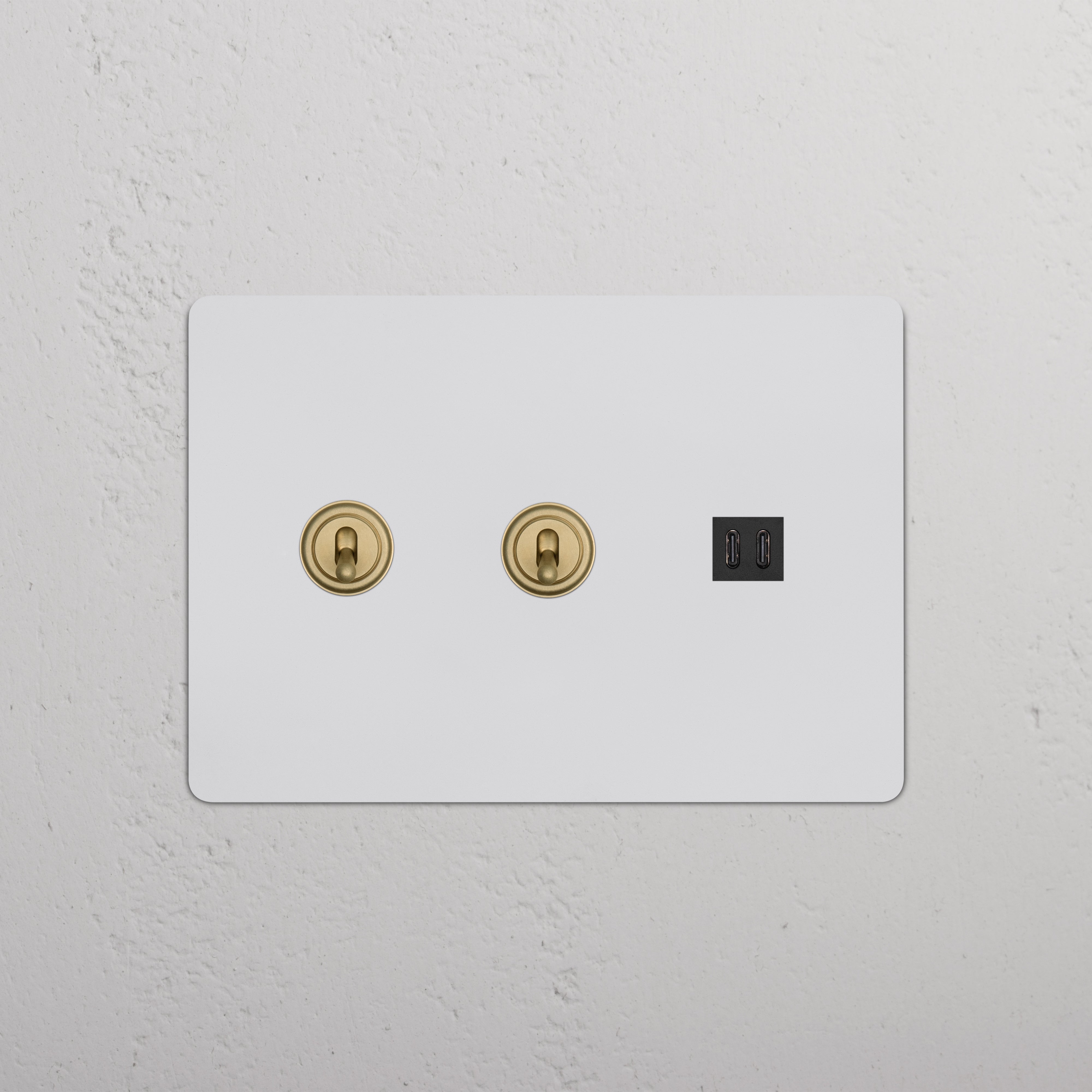 Kew 3G 2x Toggle Switch & Fast Charge USB in paintable antique brass black with two toggles and dual USB ports.