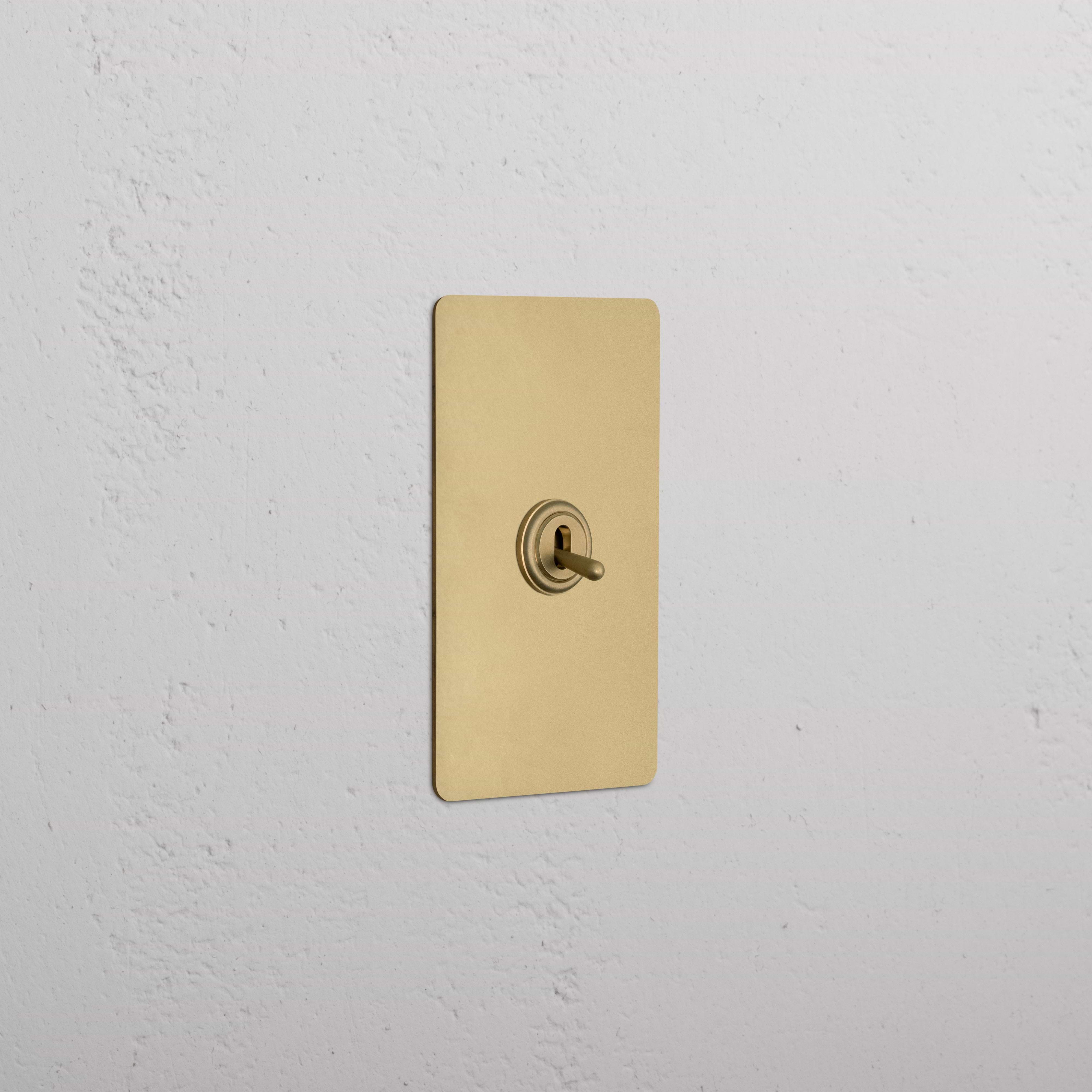 Kew 1G Double Pole Toggle Switch in antique brass, rectangular plate mounted on a white wall.