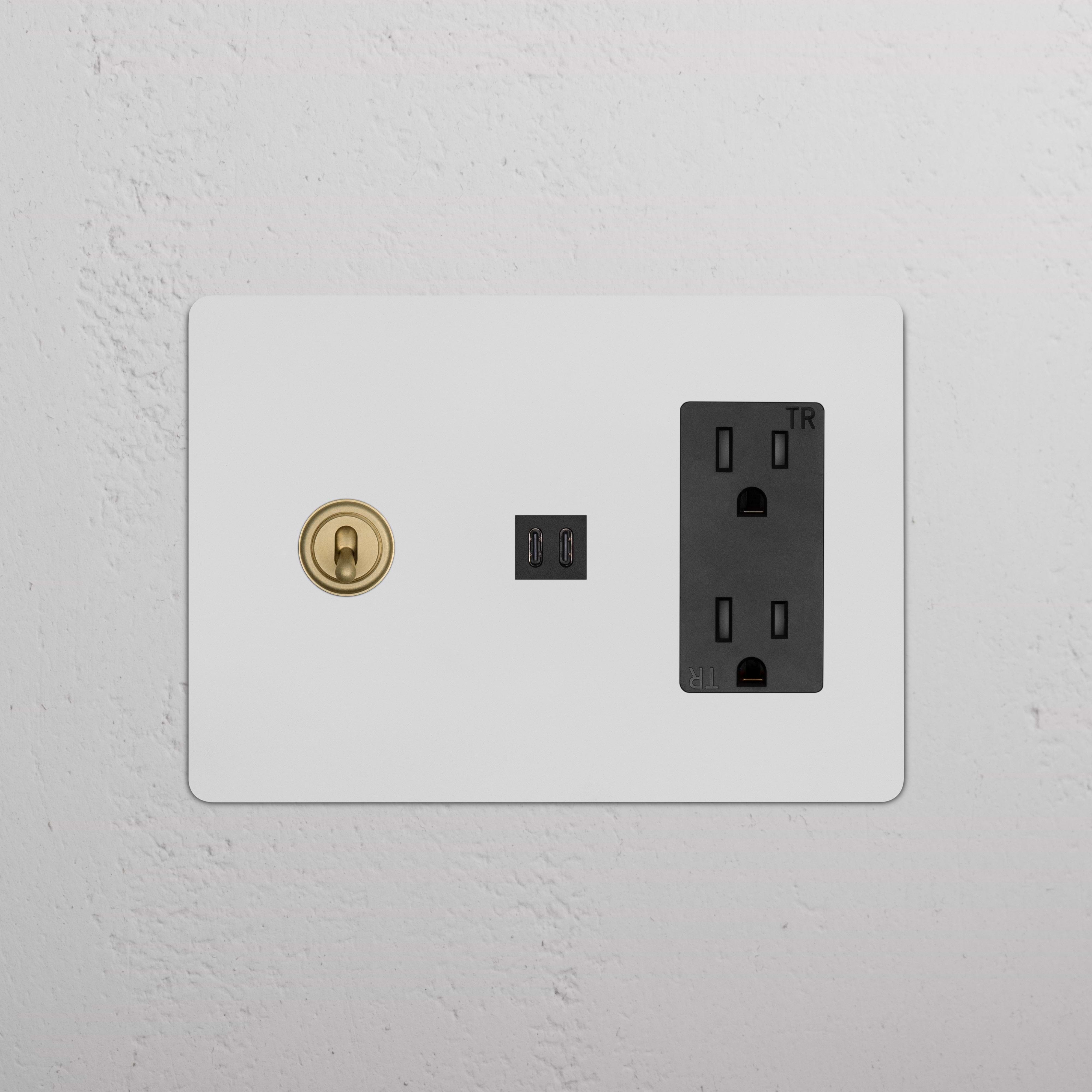 Kew 3G Toggle Switch & Outlet with Fast Charge USB in paintable antique brass black, shown installed on wall.
