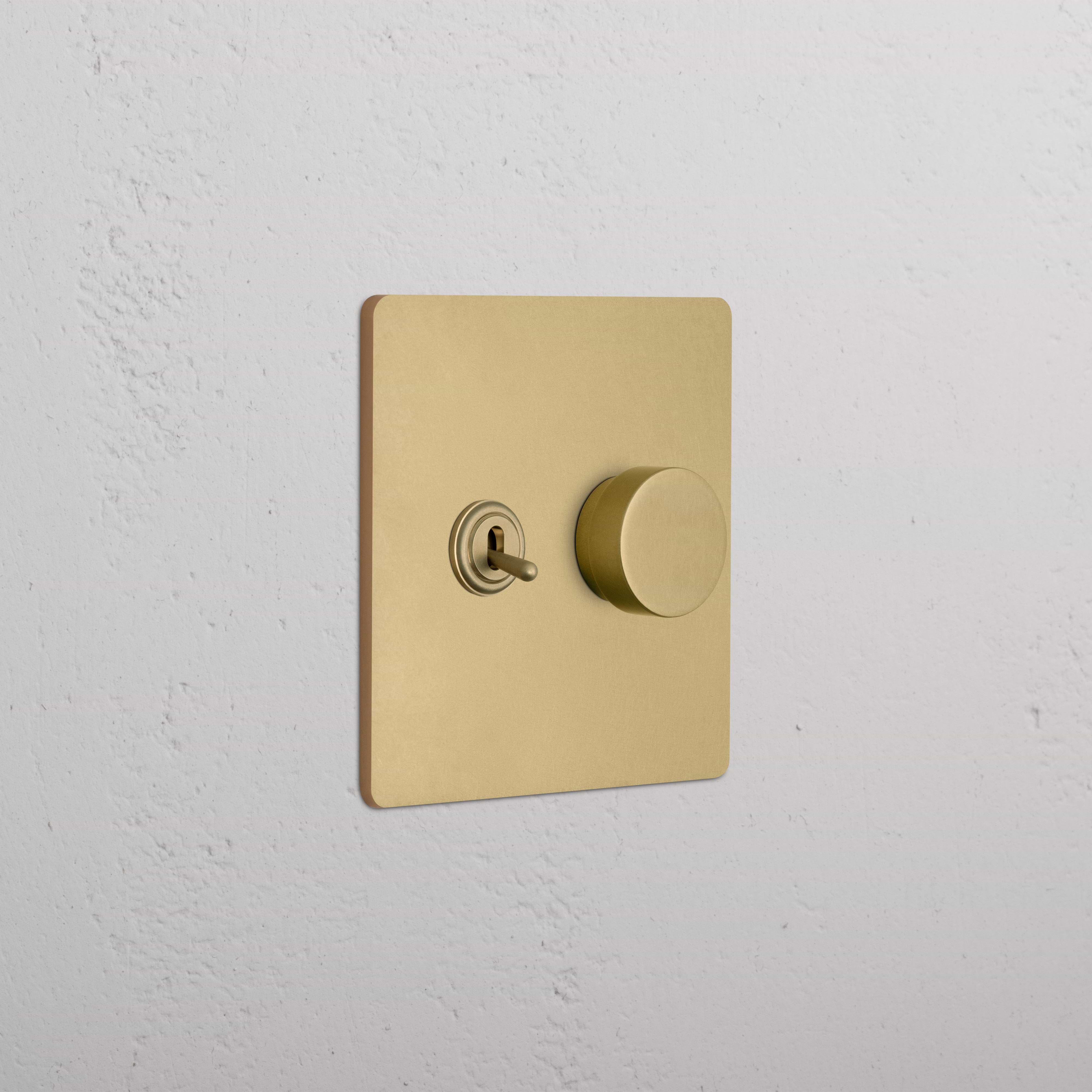 Grove 2G Toggle & Dimmer Switch in Antique Brass with toggle and dimmer knob on a square brass plate.