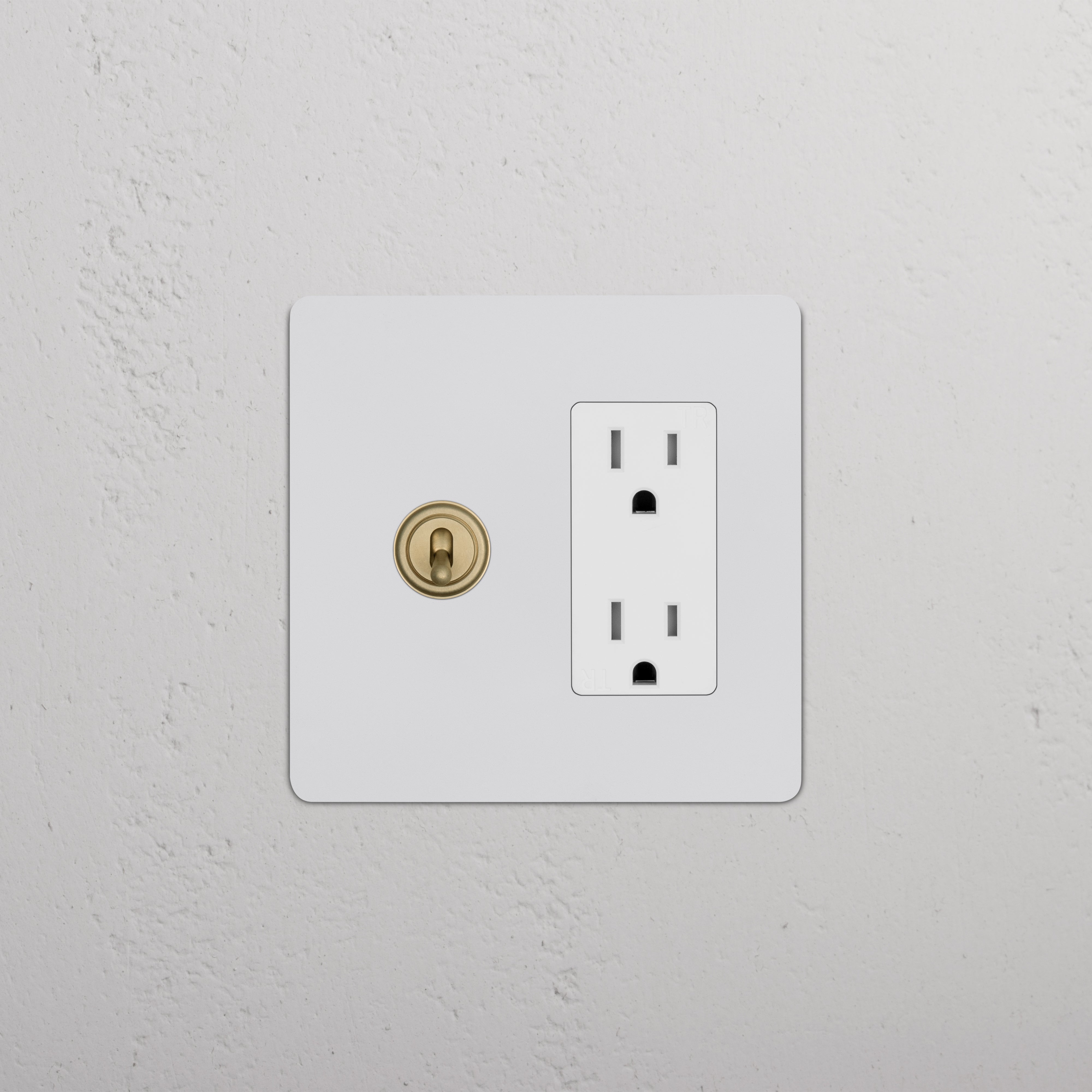 Paintable Antique Brass White Kew 2G toggle switch and outlet on wall plate, suitable for wiring.