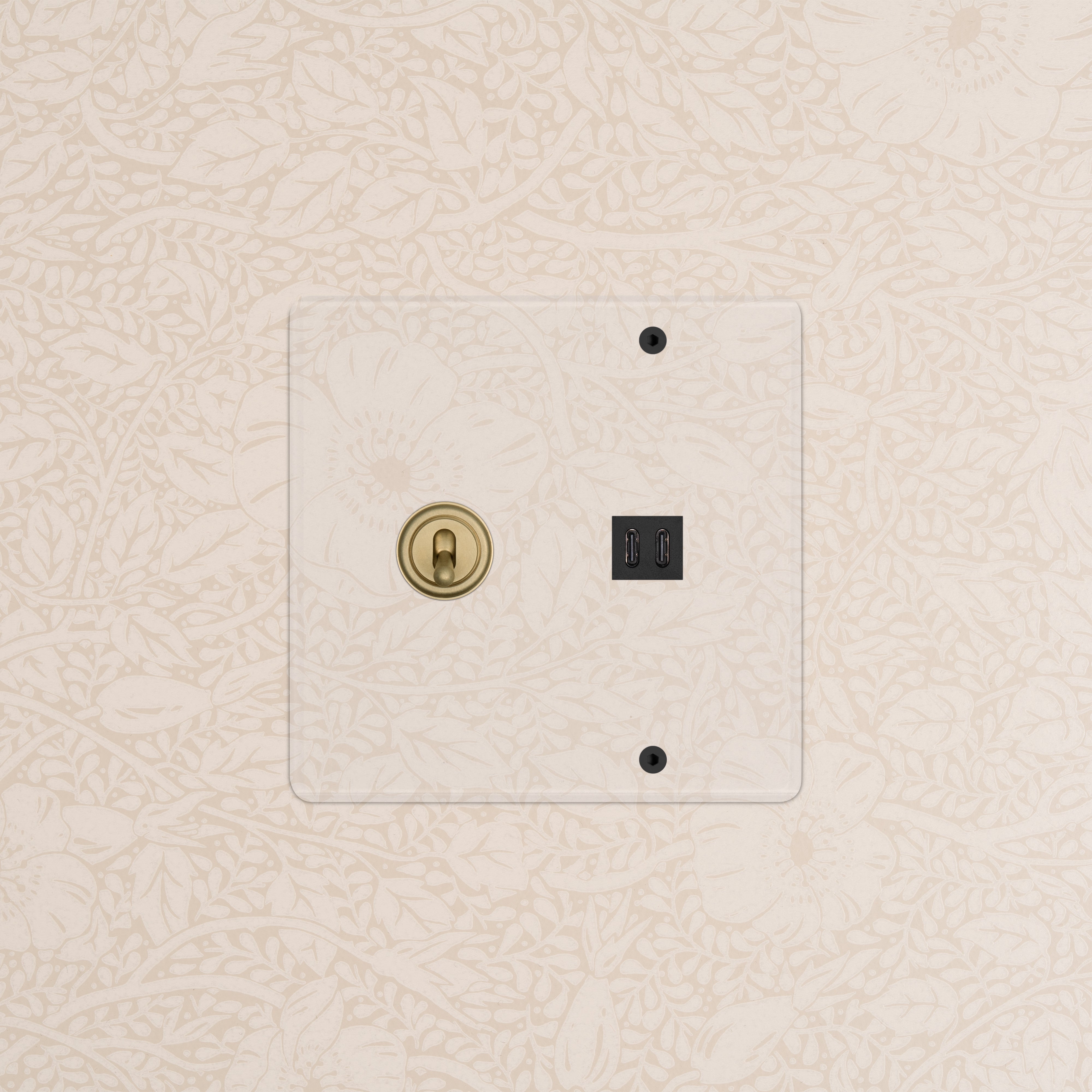 Kew 2G Toggle Switch & Fast Charge USB in Clear Antique Brass Black with two toggles and dual USB ports.