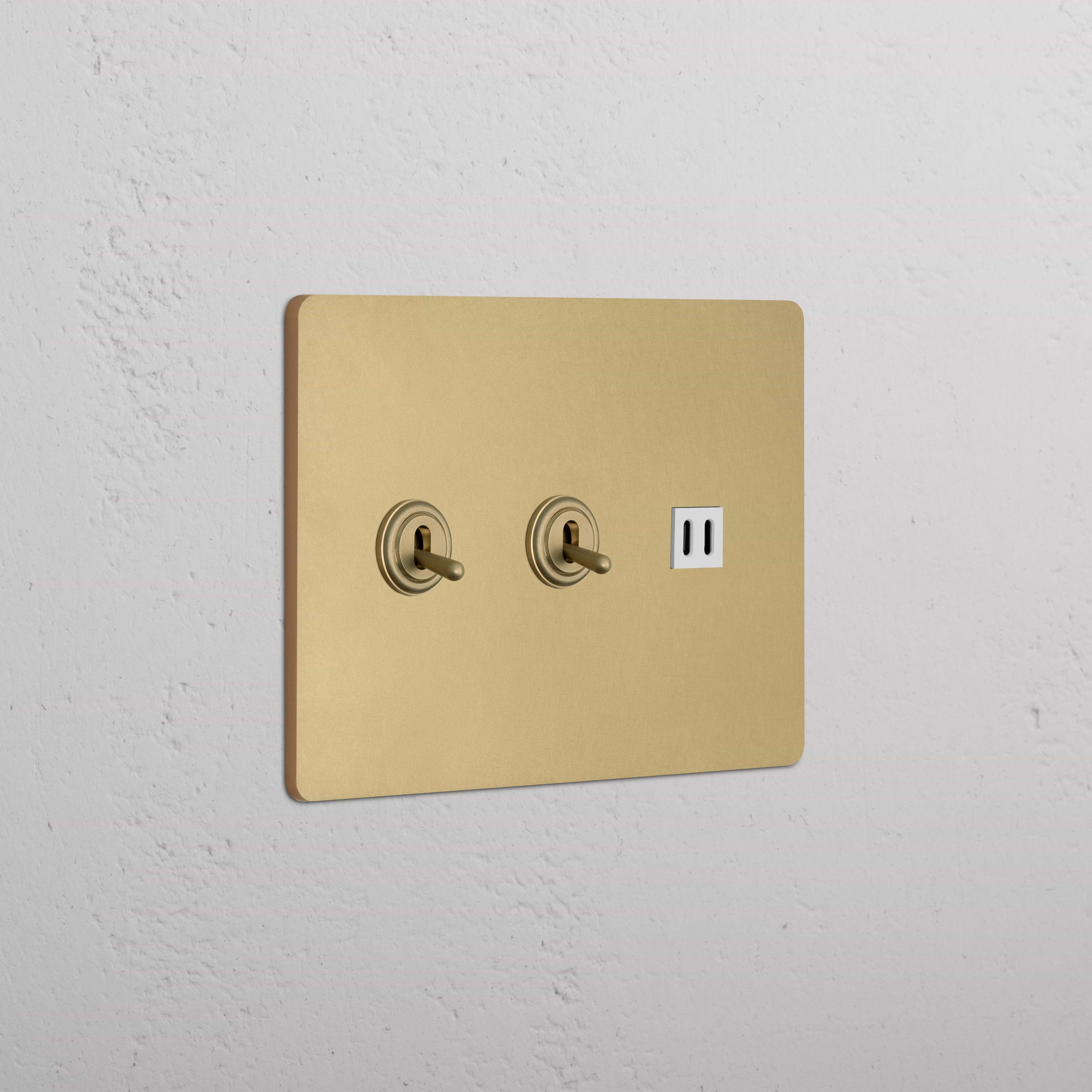 Grove 3G wall plate in Antique Brass White with 2 toggle switches and fast charge USB outlets.