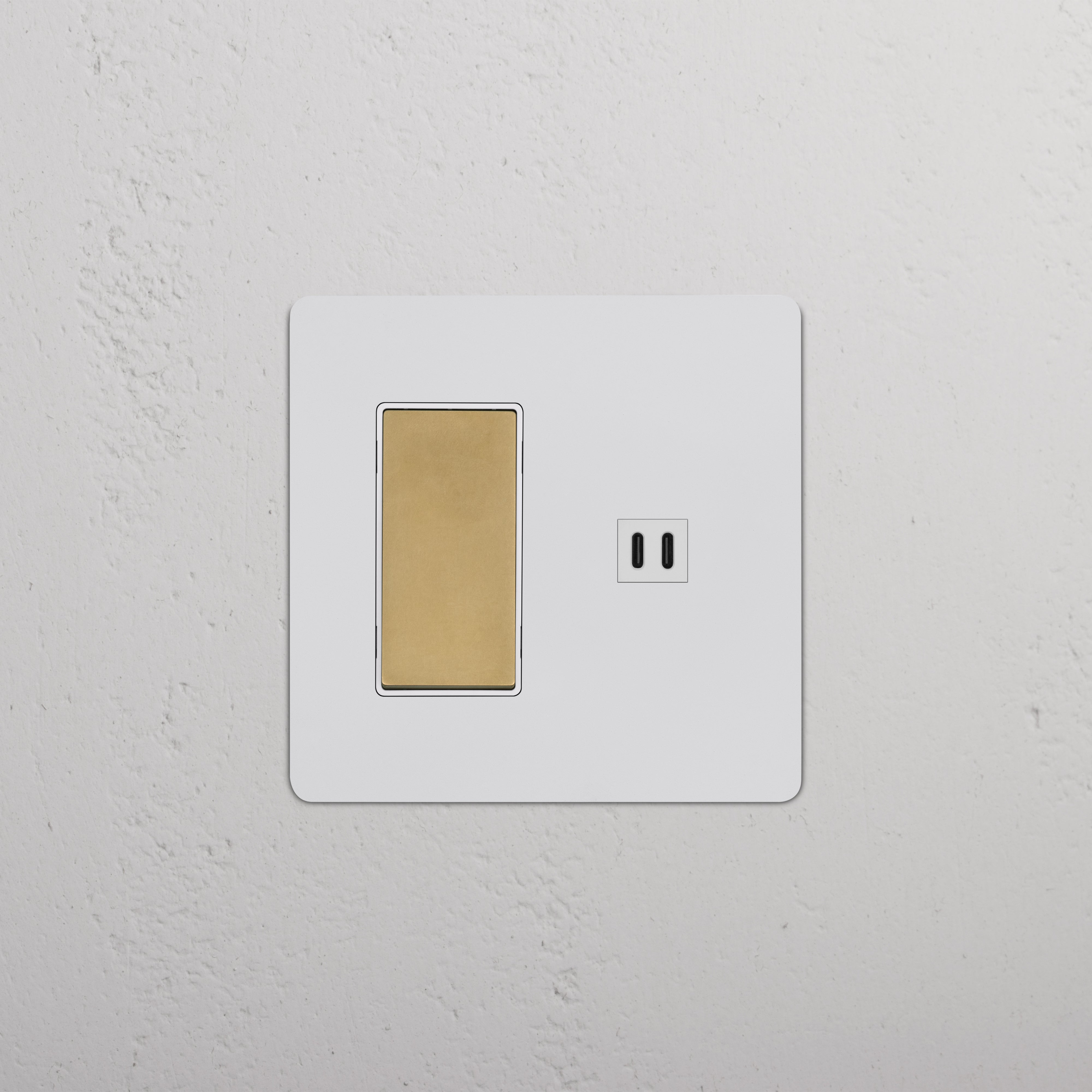 Kew 2G Rocker Switch & Fast Charge USB in paintable antique brass with white plate, wall-mounted.