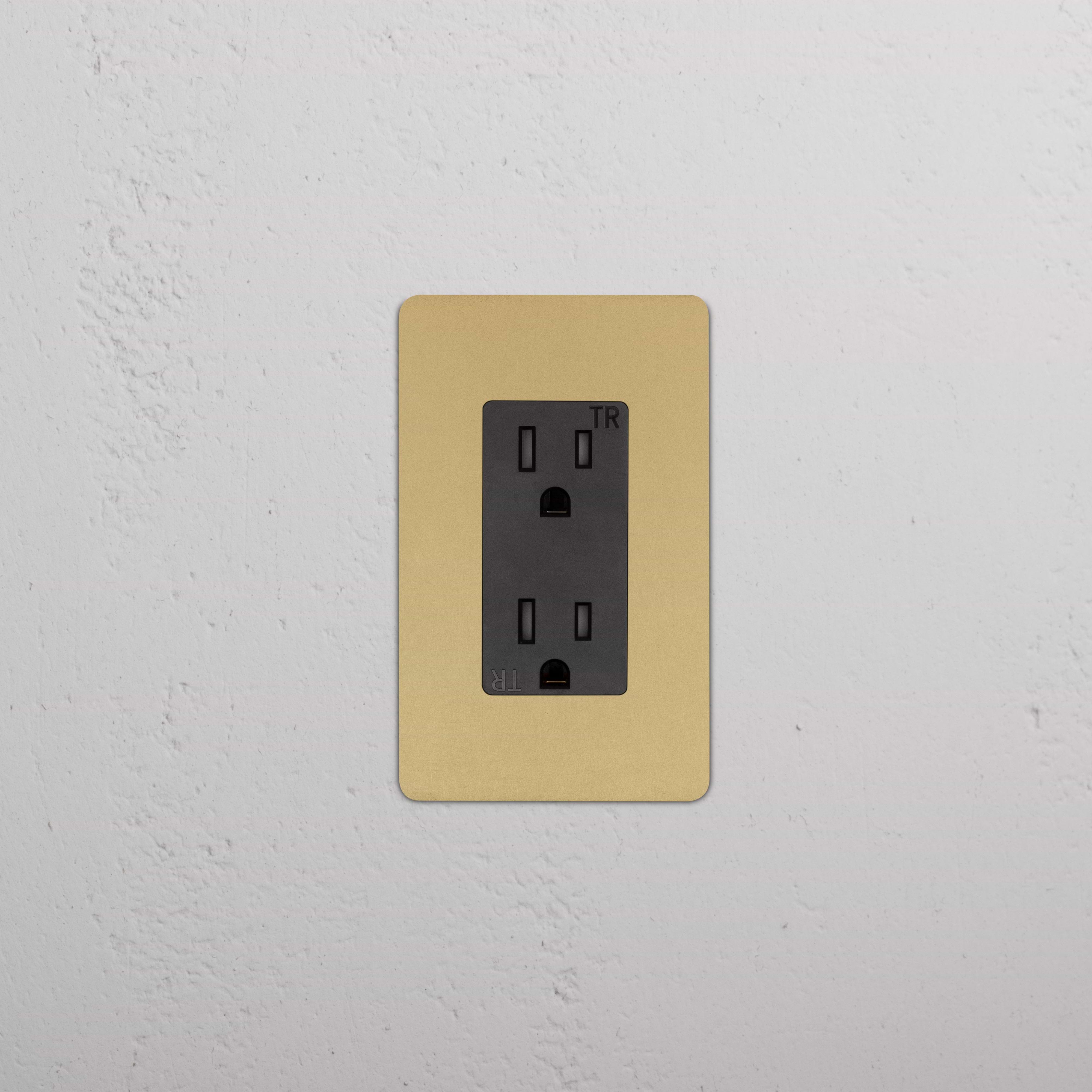Kew 1G 15A Outlet in antique brass black finish, single socket with two vertical slots and round ground.