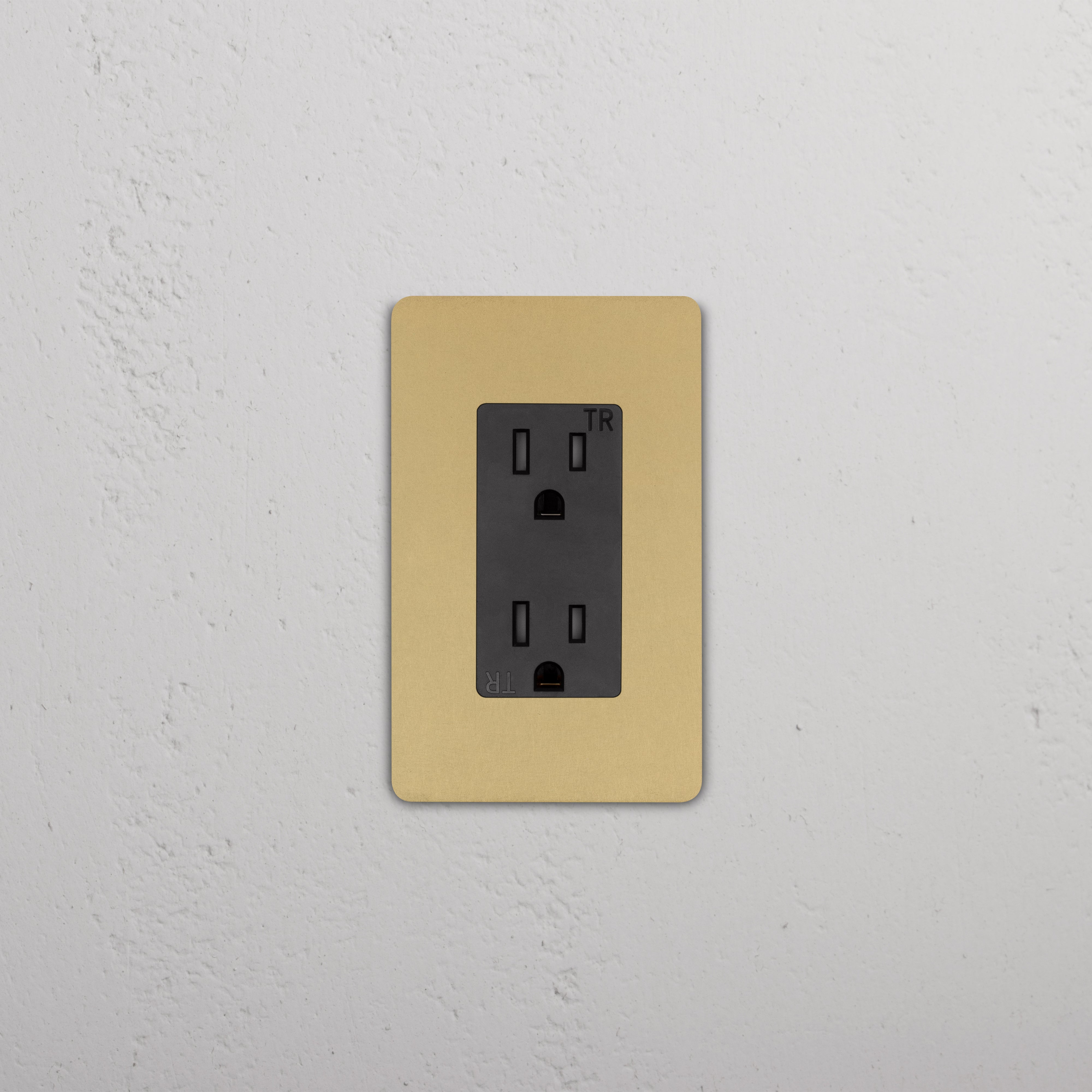 Grove 1G 15A Outlet in Antique Brass Black with black socket and gold rectangular faceplate, wall-mounted.