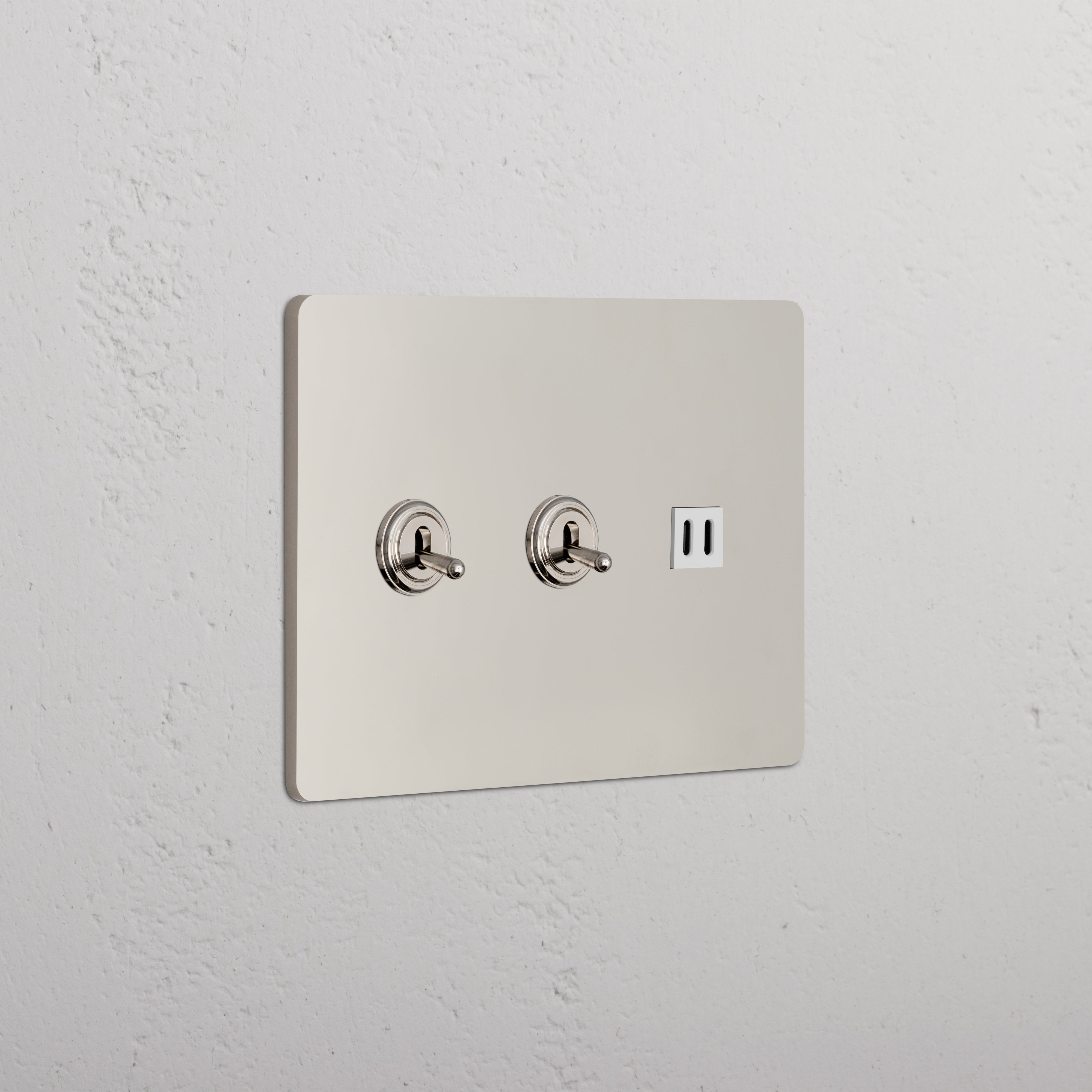 Grove 3G 2x Toggle Switch & Fast Charge USB in polished nickel white with two toggles and a USB outlet.