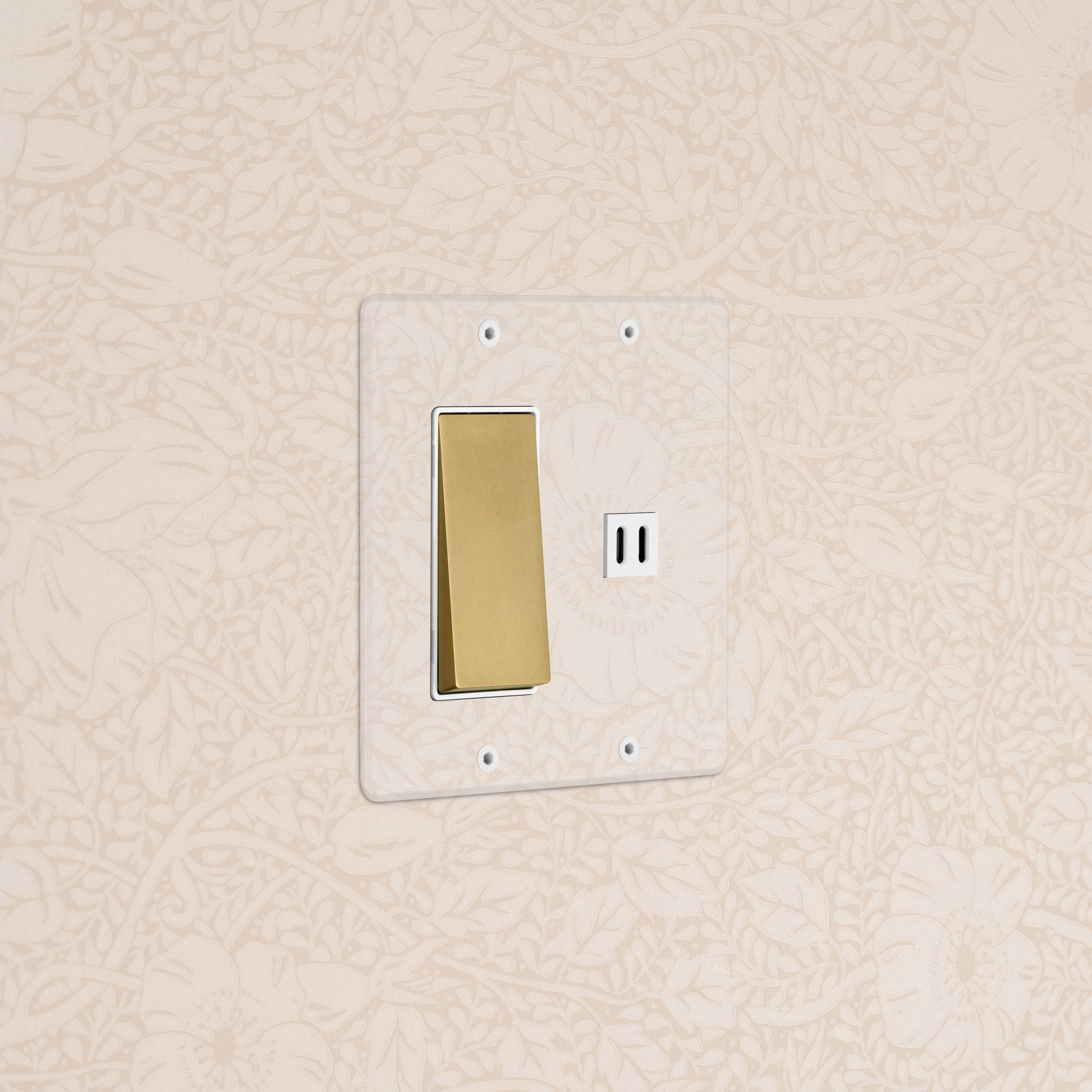 Kew 2G Rocker Switch & Fast Charge USB in Clear Antique Brass White mounted on a beige floral wallpapered wall.