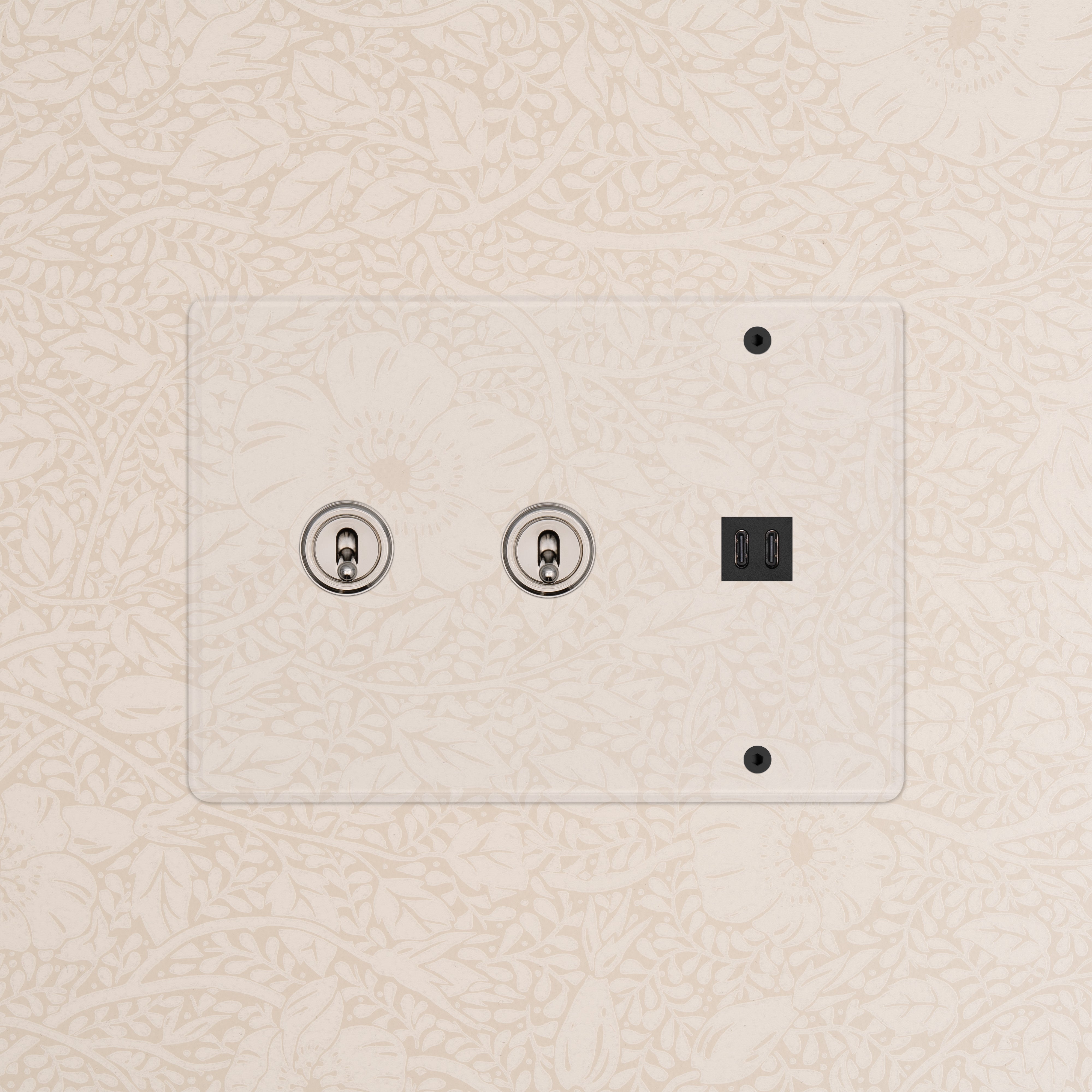 Kew 3G 2x Toggle Switch & Fast Charge USB in Clear Polished Nickel Black, with two toggles and two USB ports.