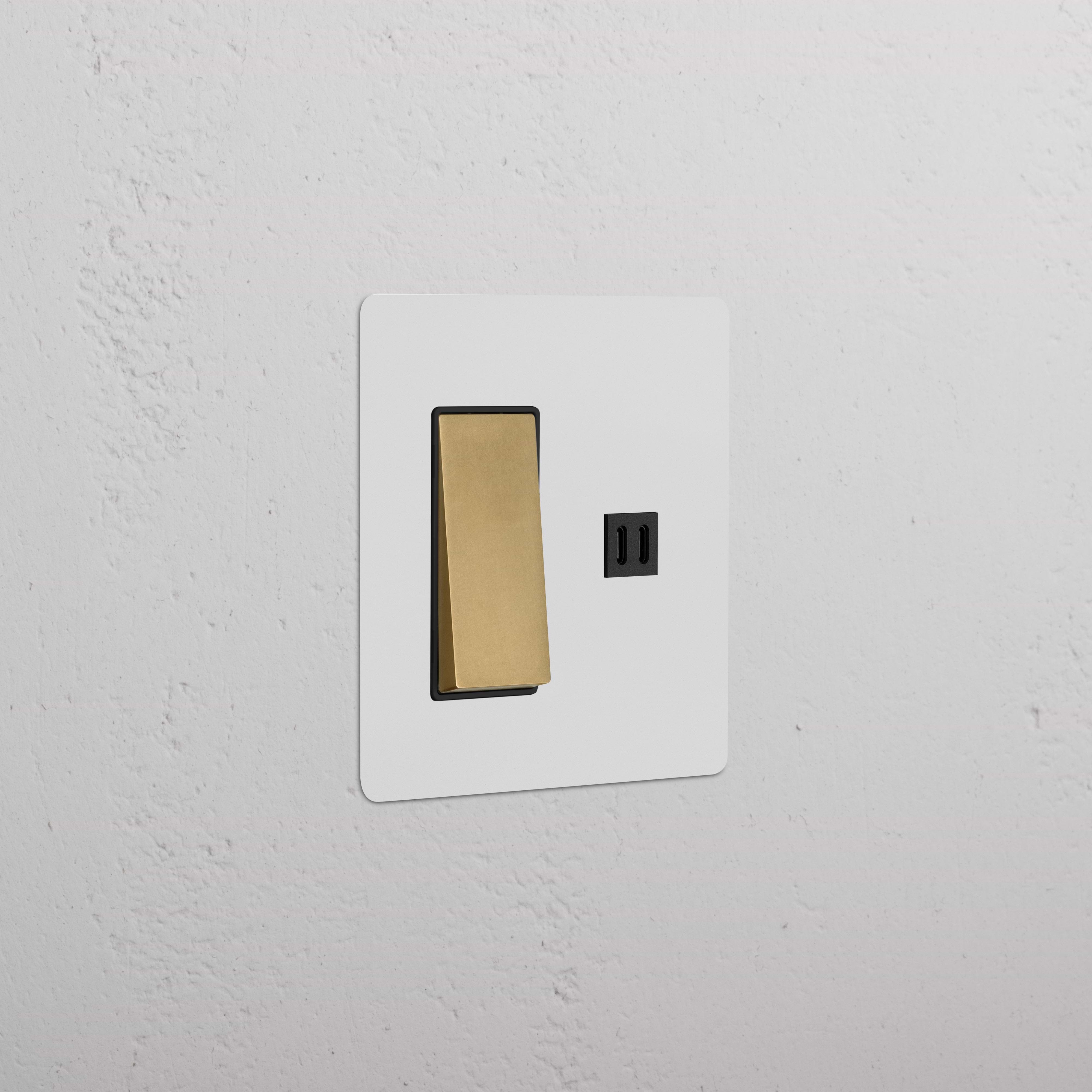 Kew 2G Rocker Switch & Fast Charge USB in paintable Antique Brass Black finish with dual USB outlets.