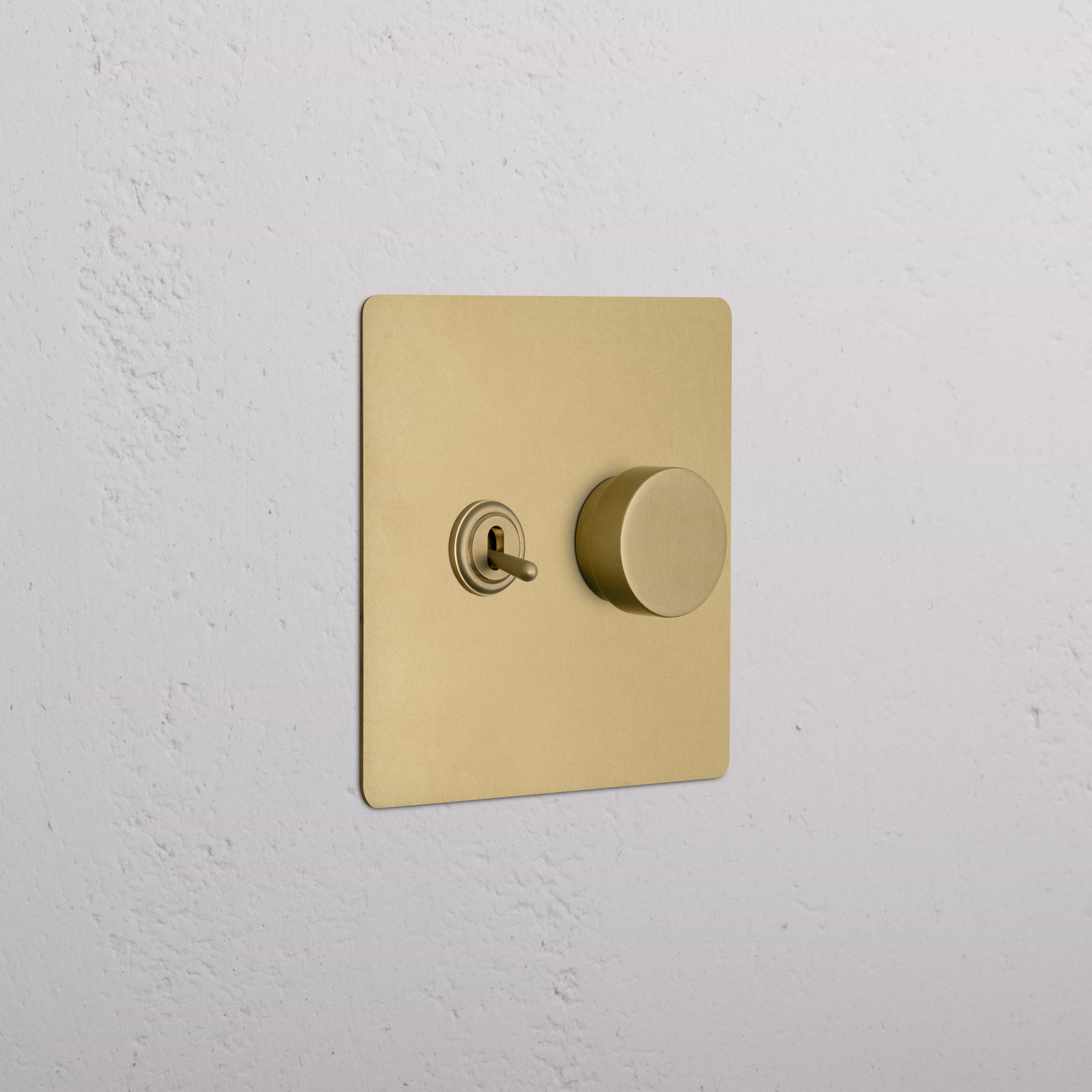 Kew 2G Toggle & Dimmer Switch in Antique Brass, featuring toggle and dimmer controls on a brass plate.
