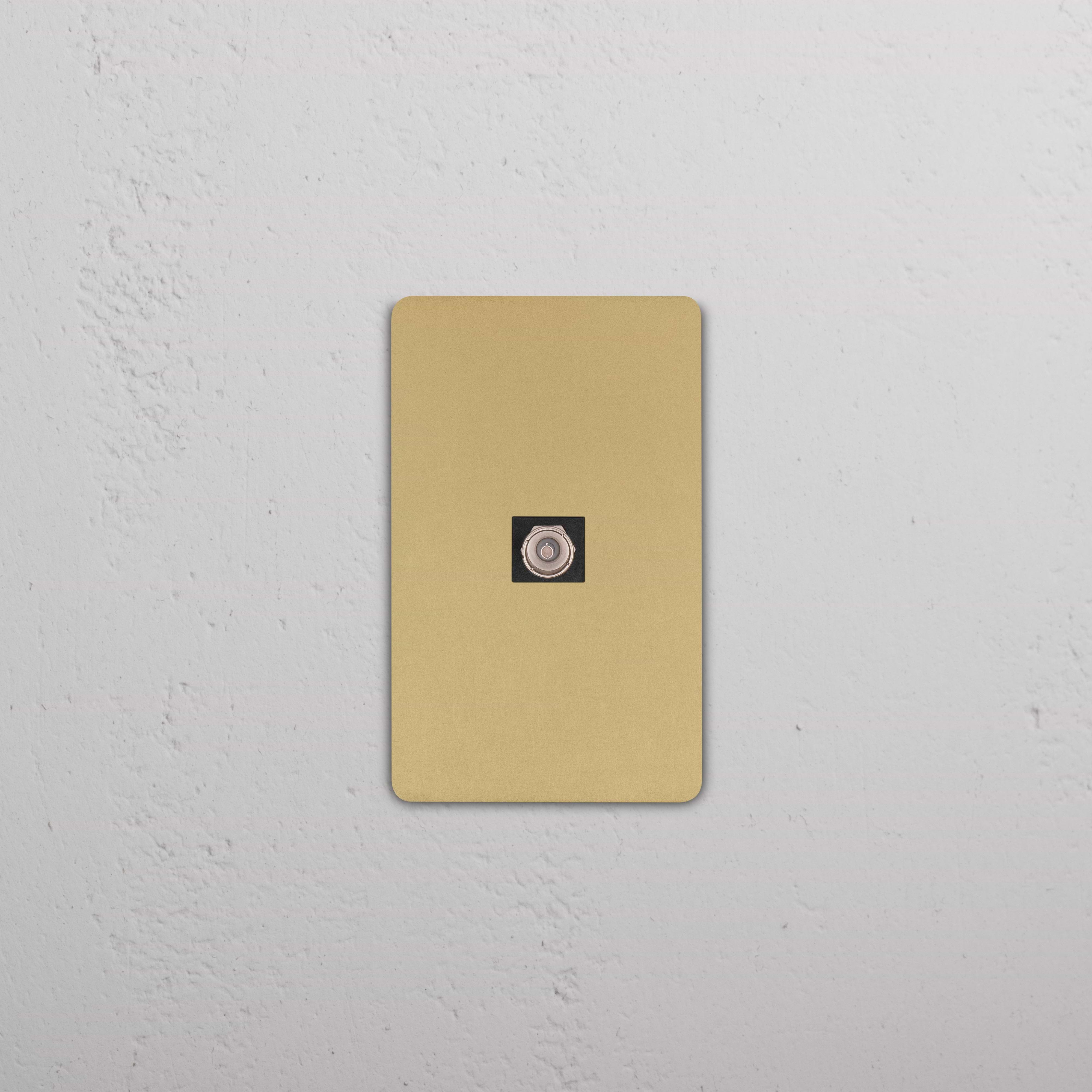 Grove 1G TV Keystone wall plate in antique brass black finish with single TV coaxial port.