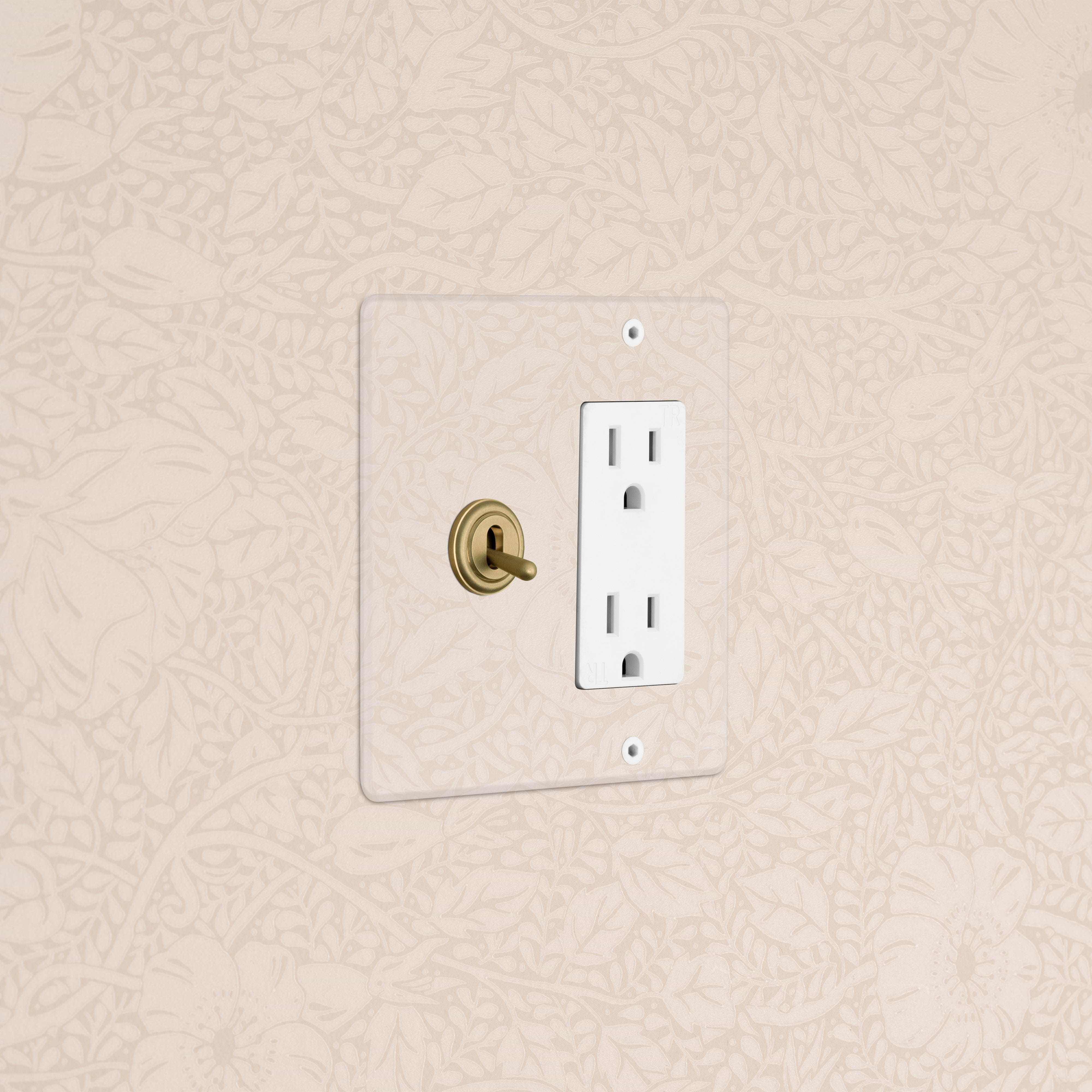 Kew 2G Toggle Switch & Outlet in clear, antique brass, and white on a wall with floral wallpaper.