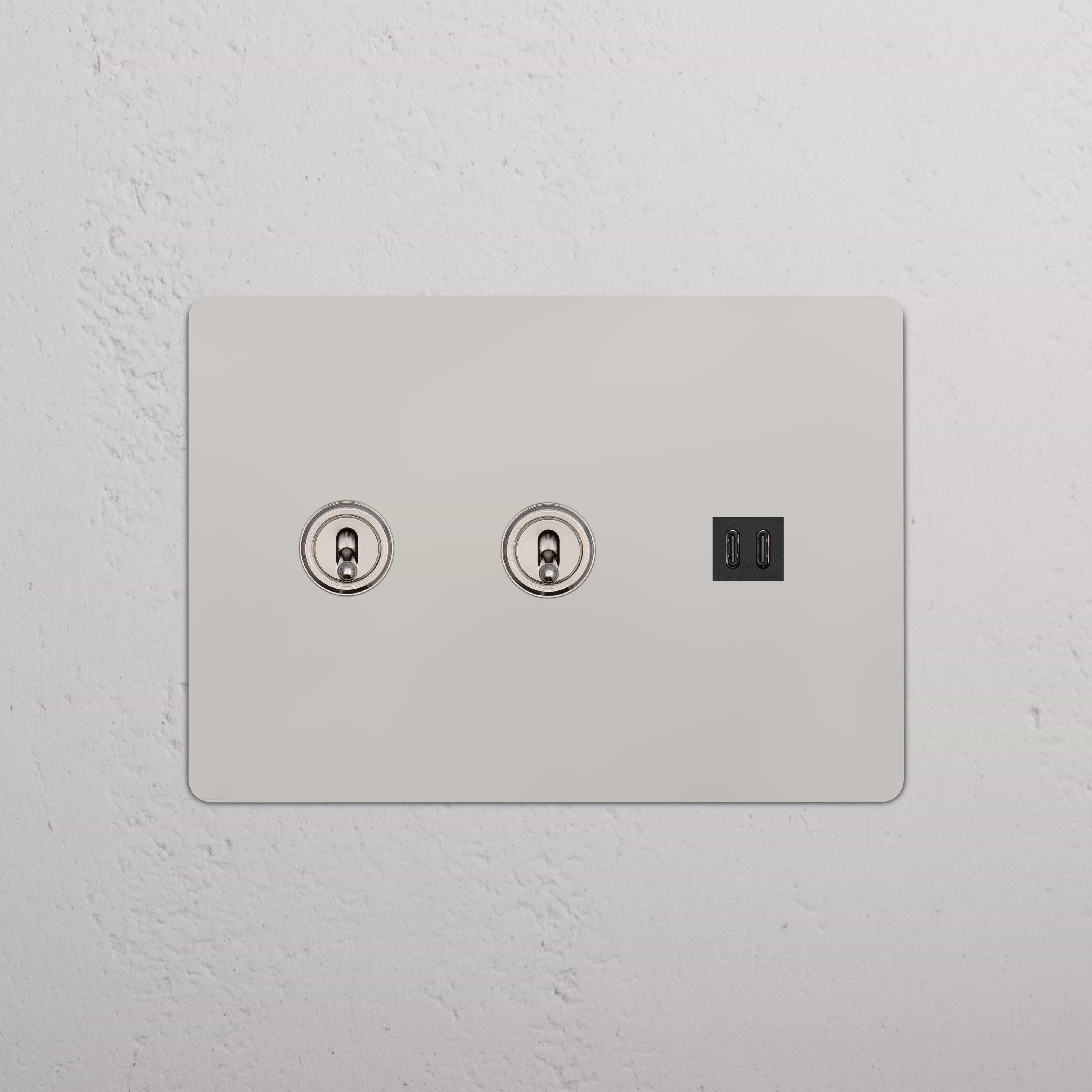 Polished Nickel Black Kew 3G plate with 2 toggle switches and fast charge USB port on a white wall.