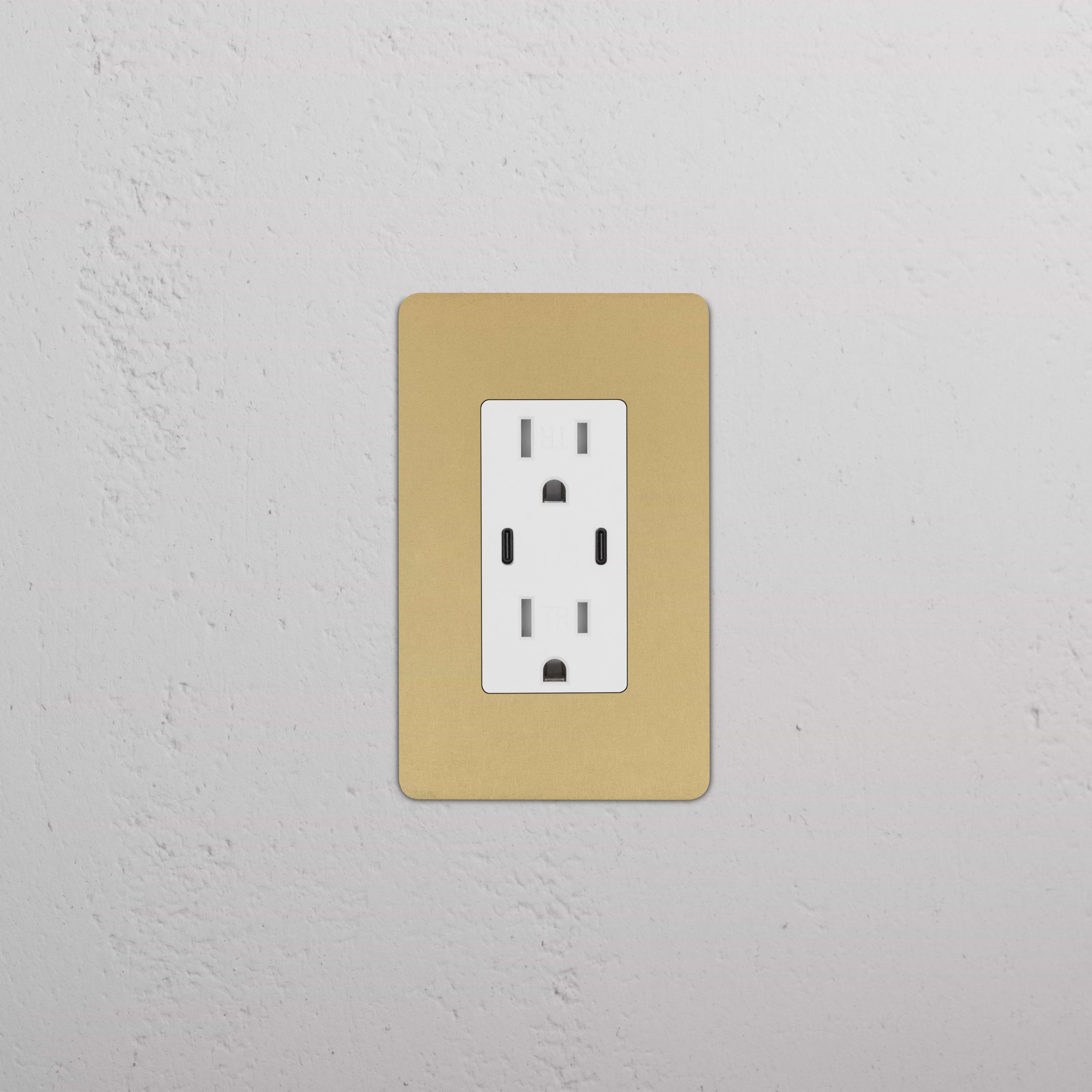 Kew 1G 15A USB Outlet in Antique Brass White finish, featuring two sockets and USB ports on a wall plate.