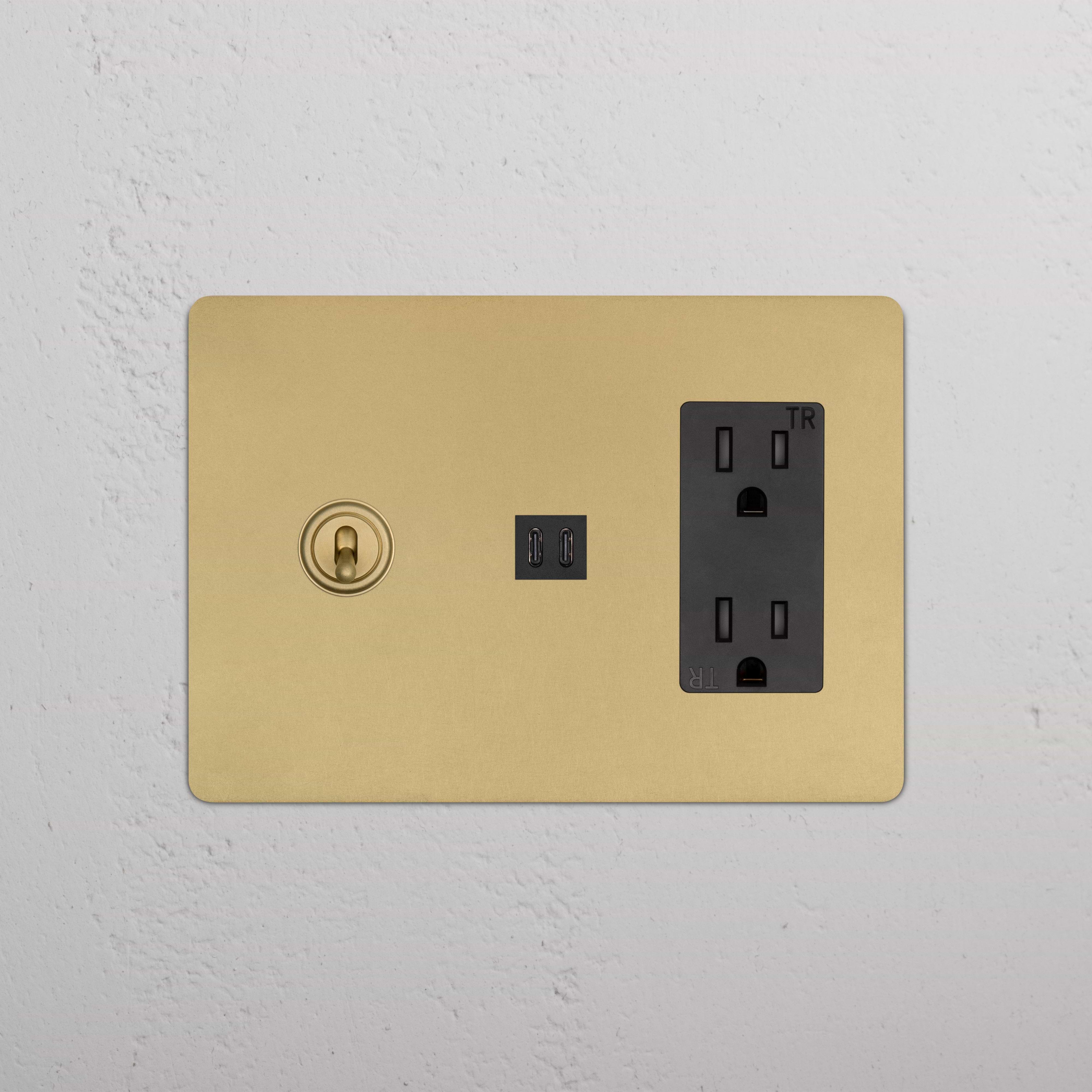 Kew 3G Toggle Switch & Outlet with Fast Charge USB in Antique Brass Black, shown on a white textured wall.