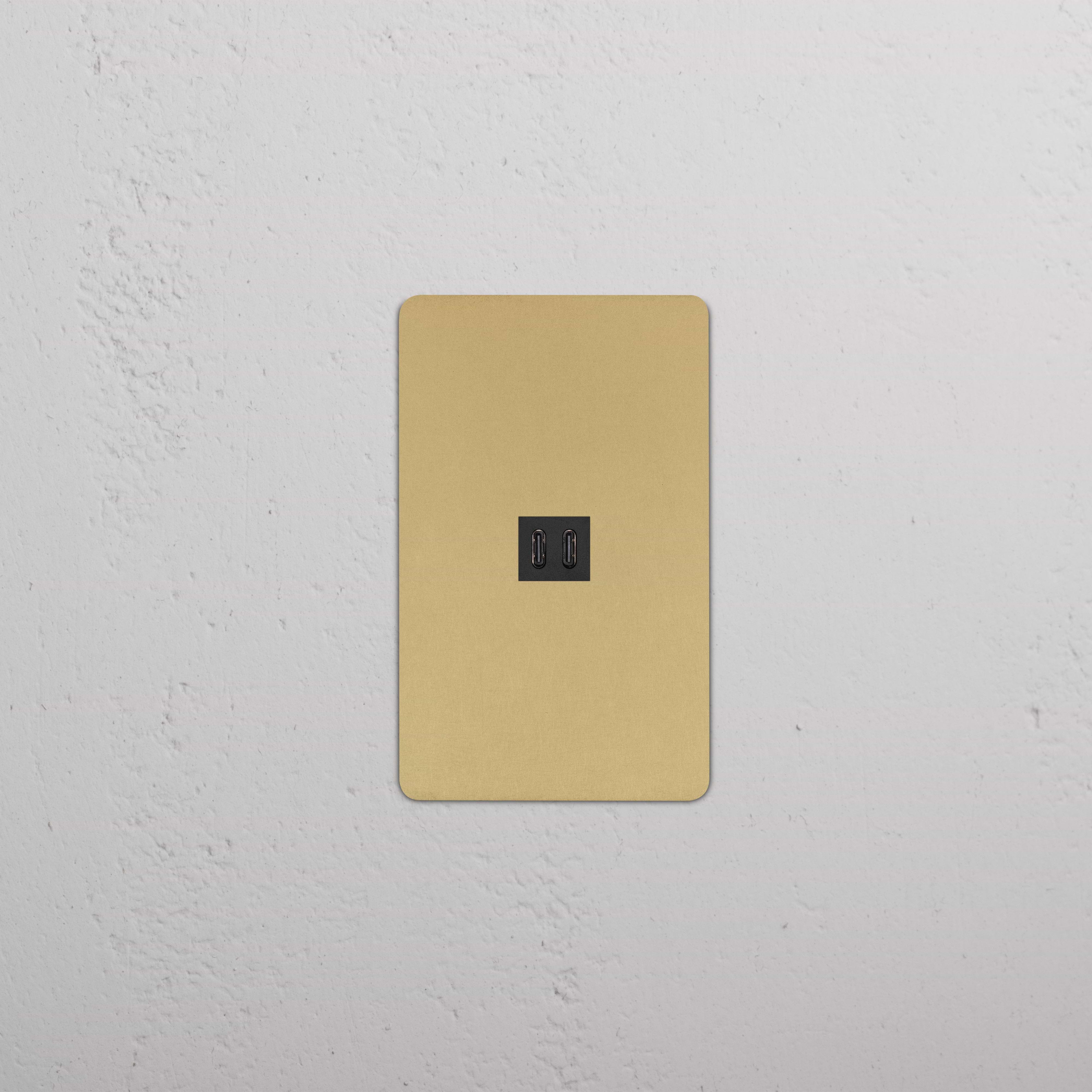 Kew 1G Fast Charge 65W USB Keystone wall plate in antique brass black with dual black USB ports.