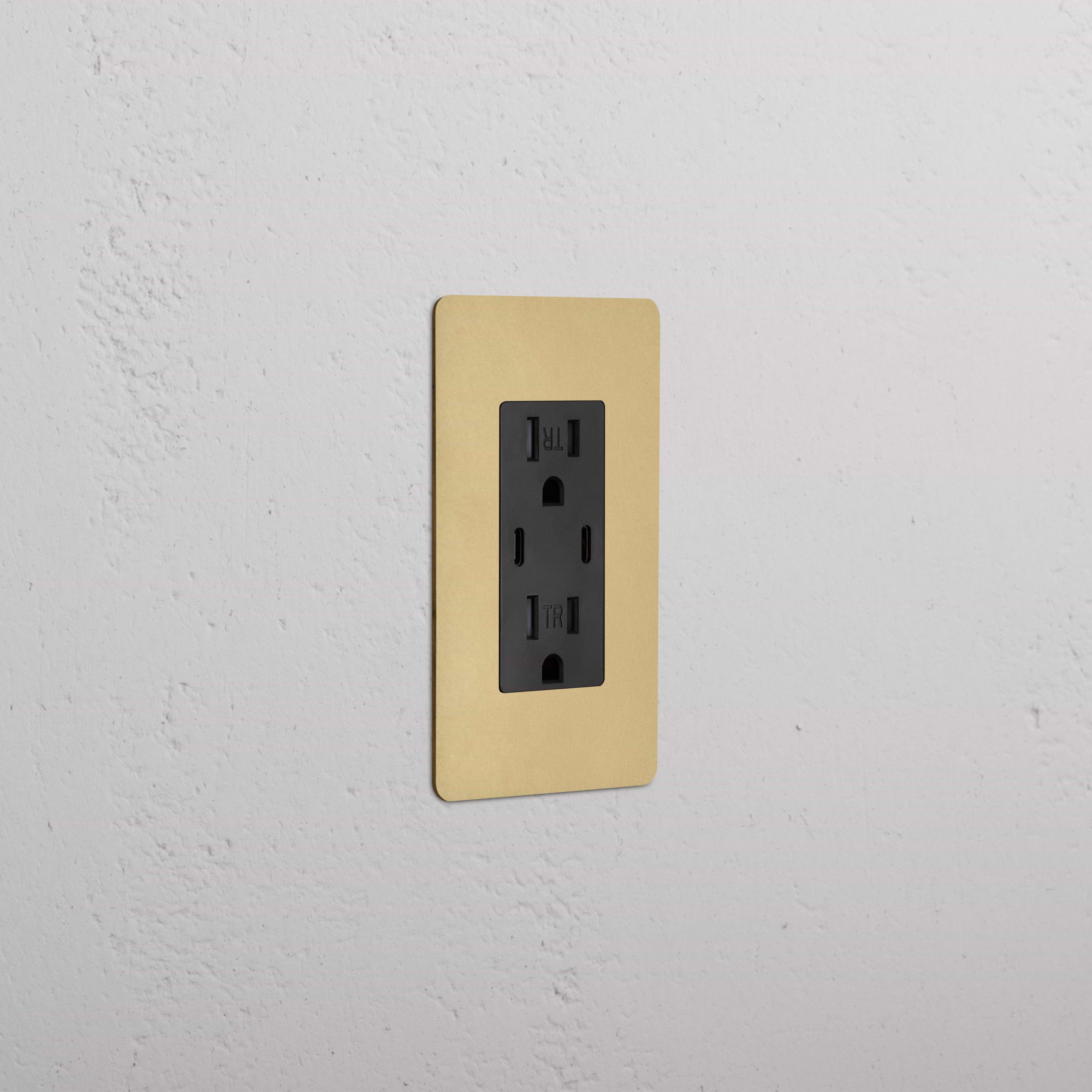 Kew 1G 15A USB Outlet in Antique Brass Black with gold faceplate, installed on a white wall.