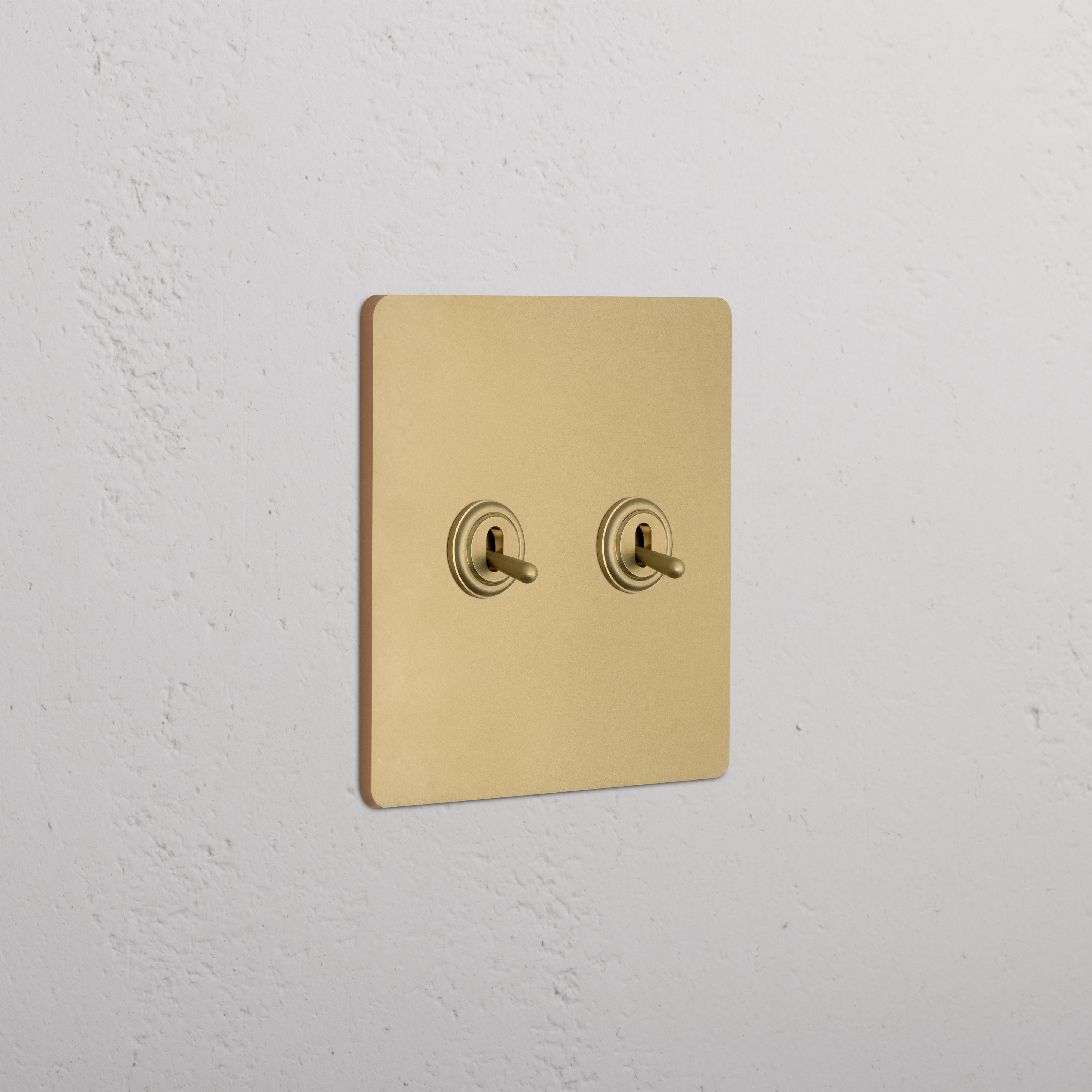 Grove 2G Toggle Switch in antique brass finish with a rectangular plate on a white wall.