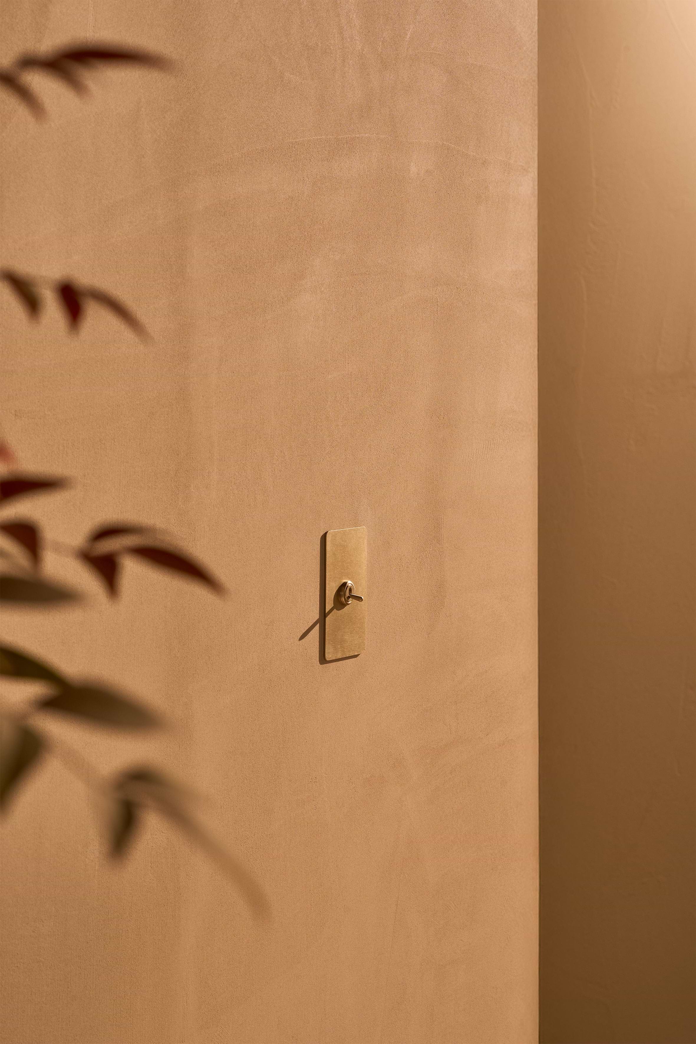 Kew 1G Toggle Switch - Antique Brass