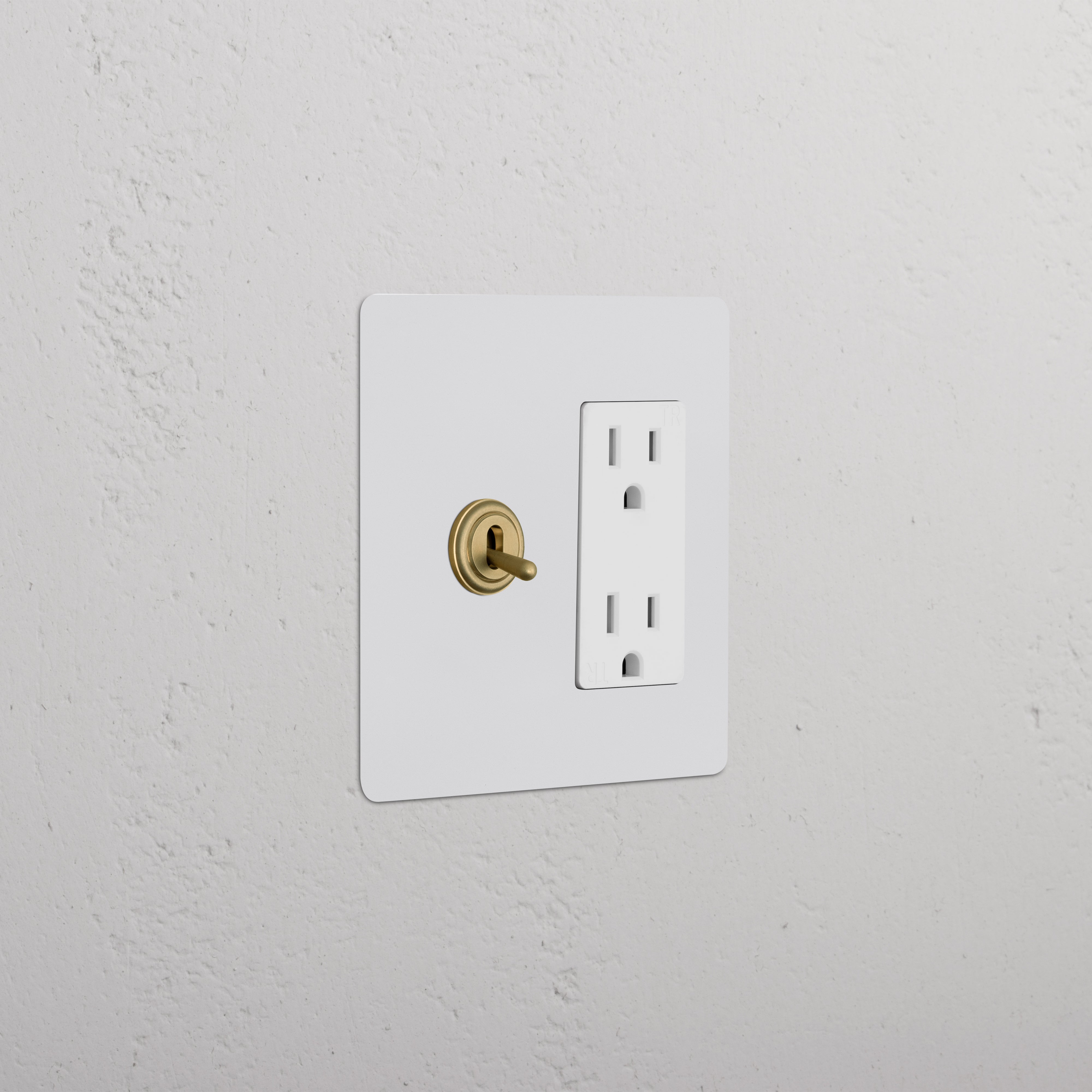 Kew 2G Toggle Switch & Outlet in paintable antique brass white finish, with double socket and toggle switch.