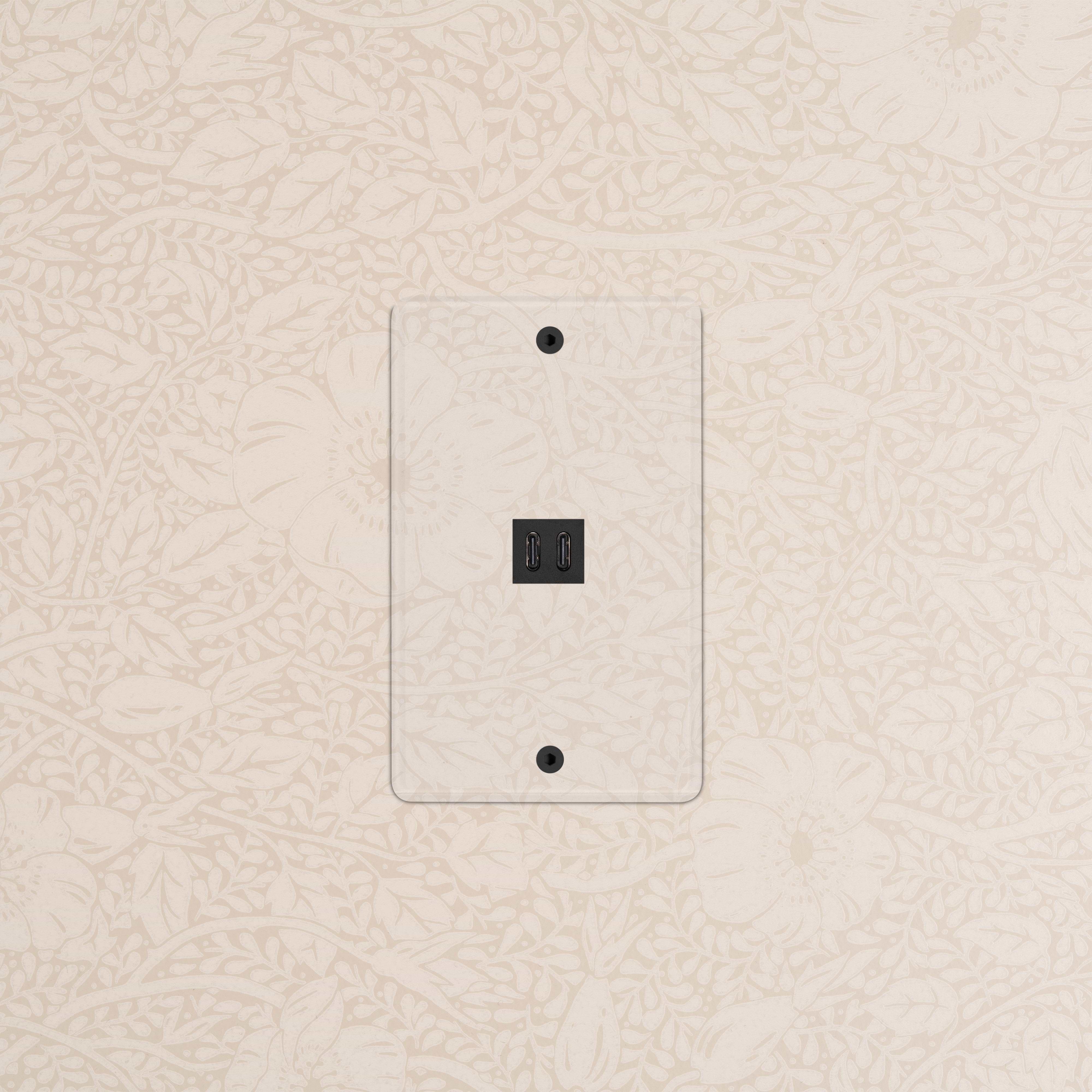 Clear black Kew 1G Fast Charge 65W USB Keystone wall outlet with dual USB charging ports on wallpapered wall.
