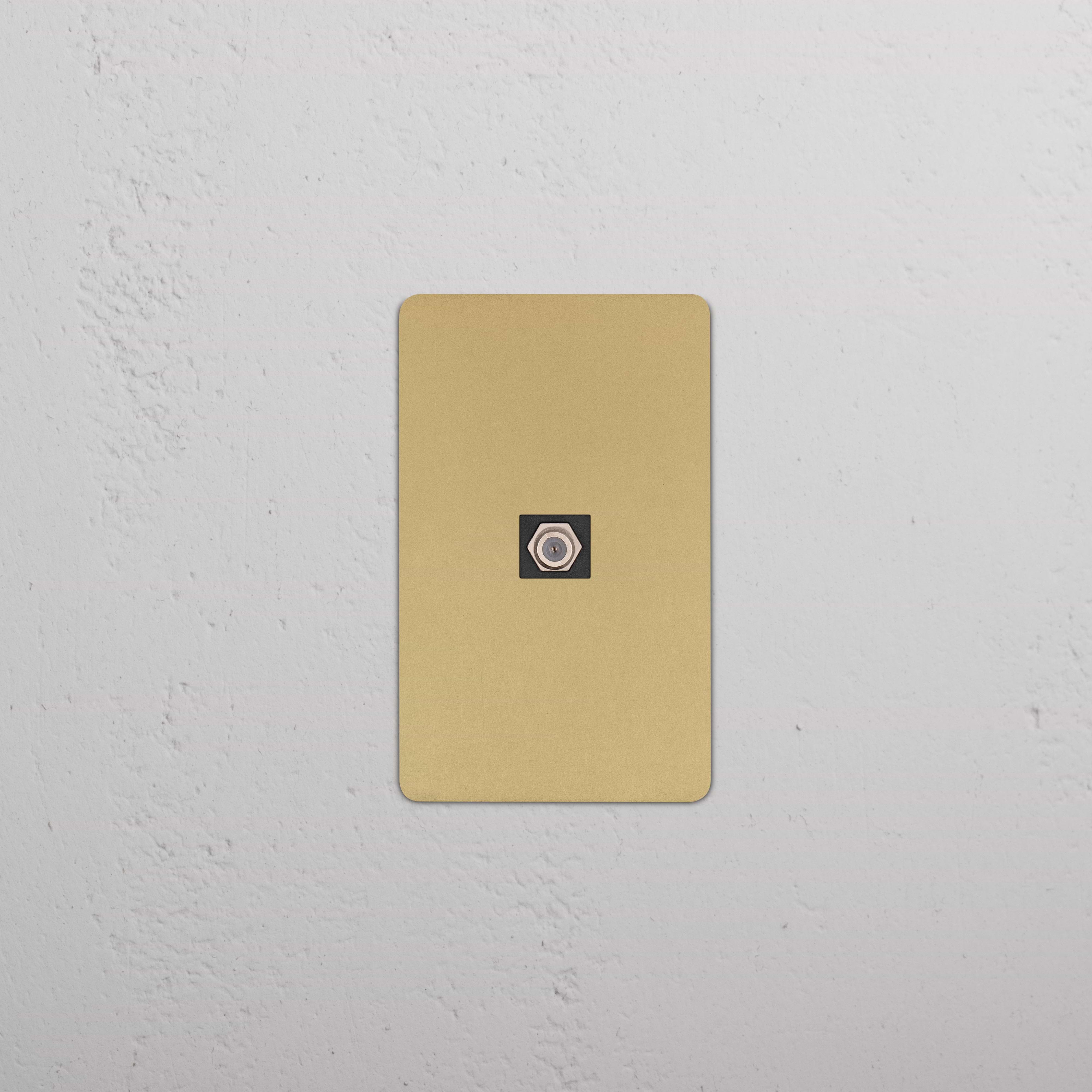 Kew 1G Satellite Keystone in antique brass black with single satellite port, rectangular wall plate.