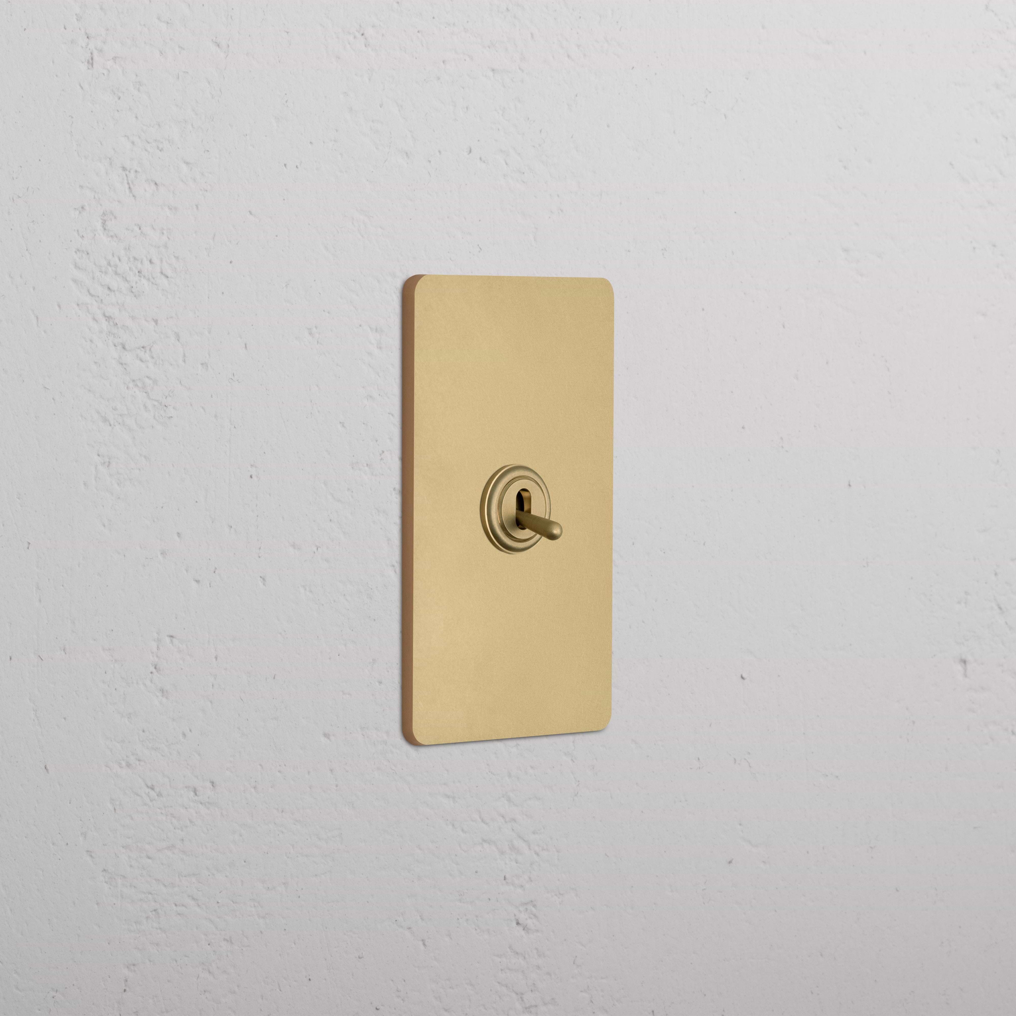 Grove 1G Four Way Toggle Switch in antique brass finish with rectangular plate, shown on a white wall.