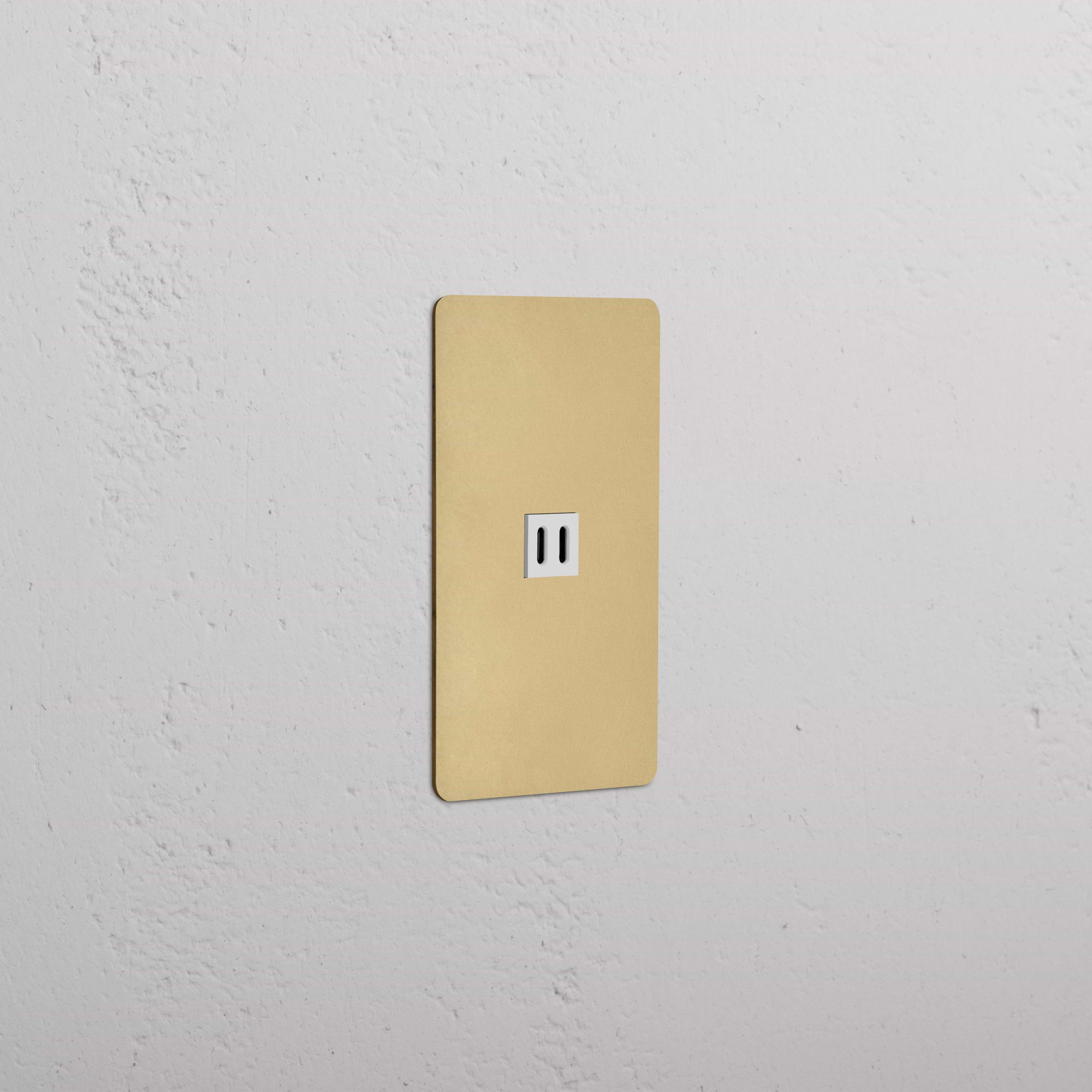 Kew 1G Fast Charge 65W USB Keystone in antique brass with white insert, single USB wall plate.