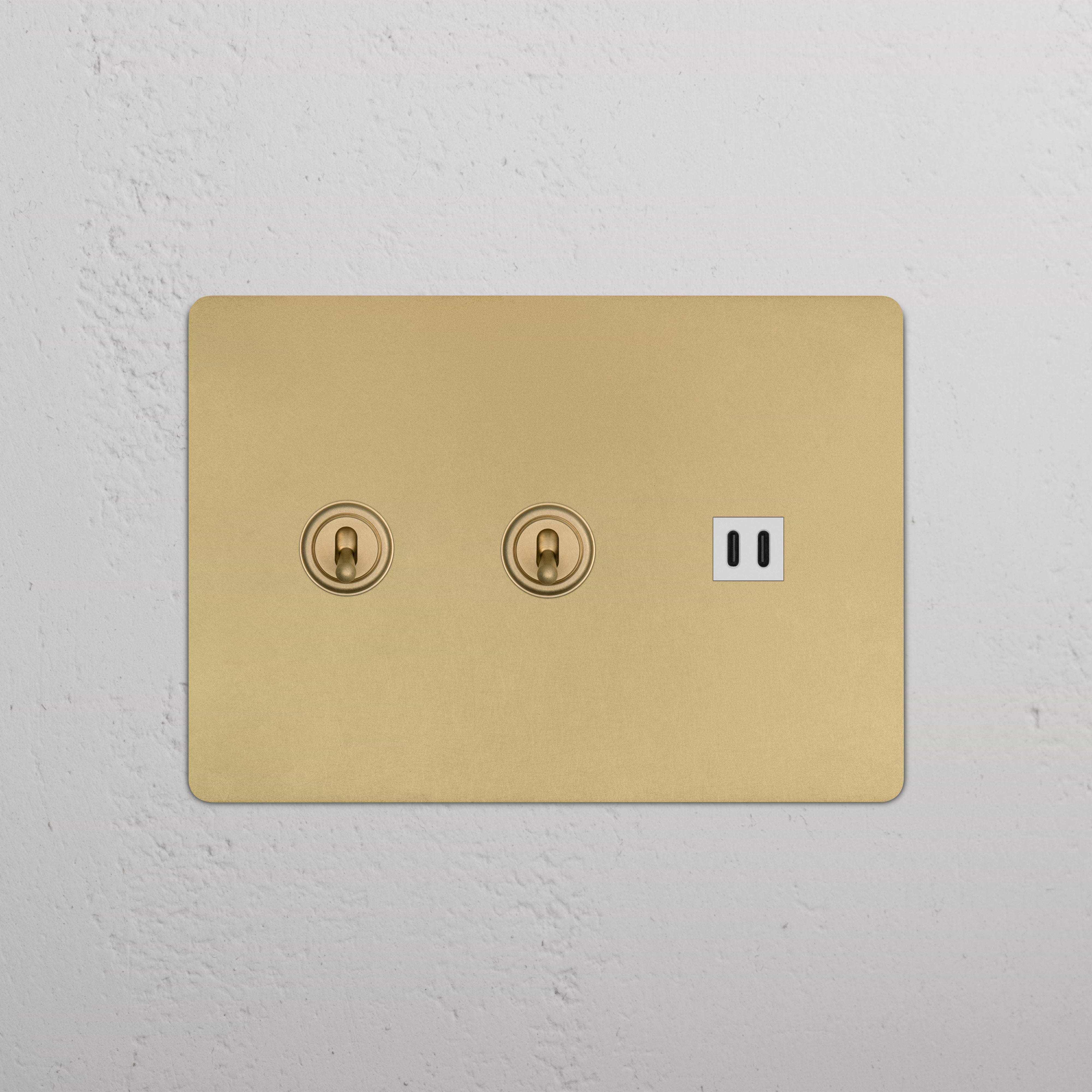 Kew 3G 2x Toggle Switch & Fast Charge USB in antique brass with white insert, wall-mounted plate.