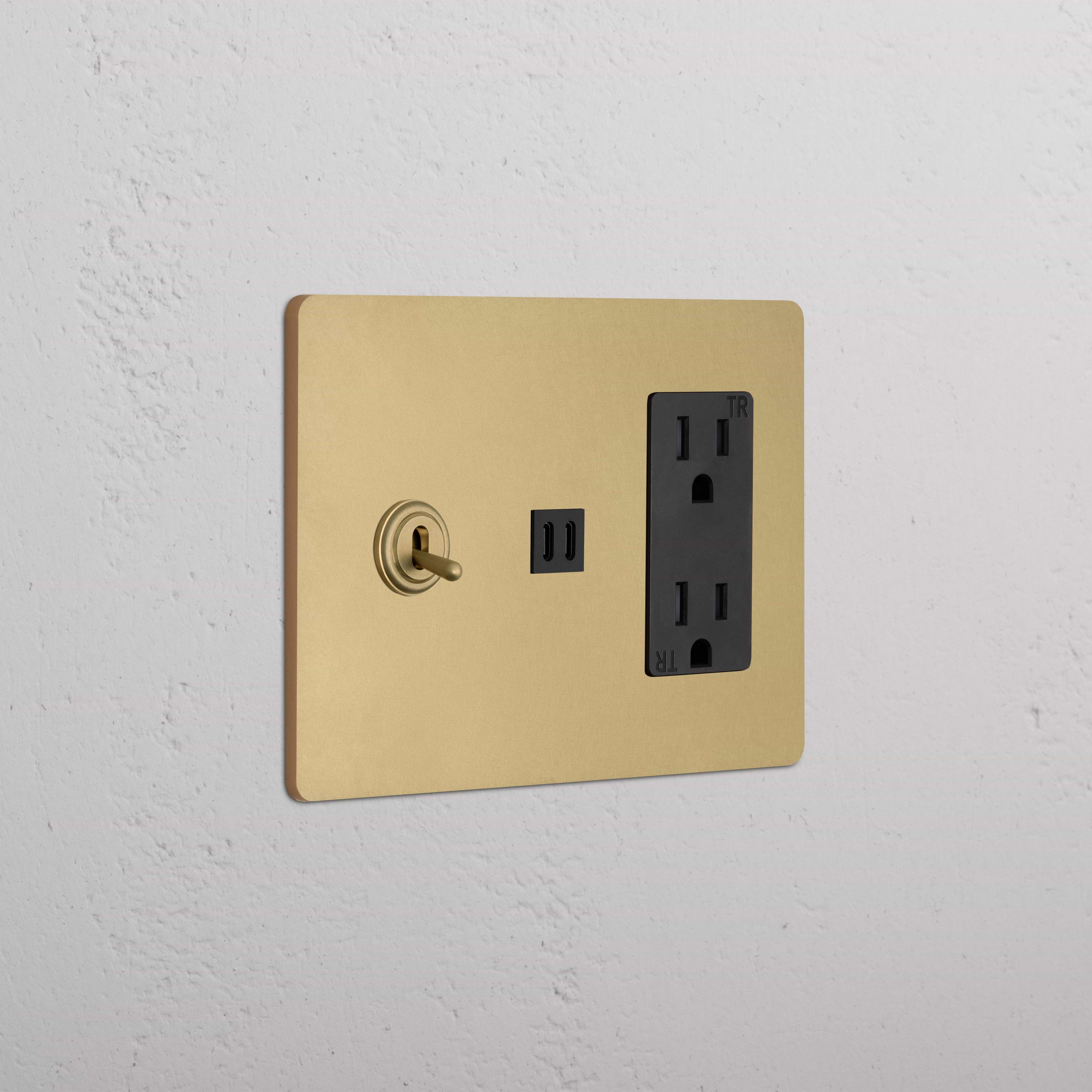 Grove 3G Toggle Switch & Outlet with Fast Charge USB in Antique Brass Black, shown mounted on a wall.