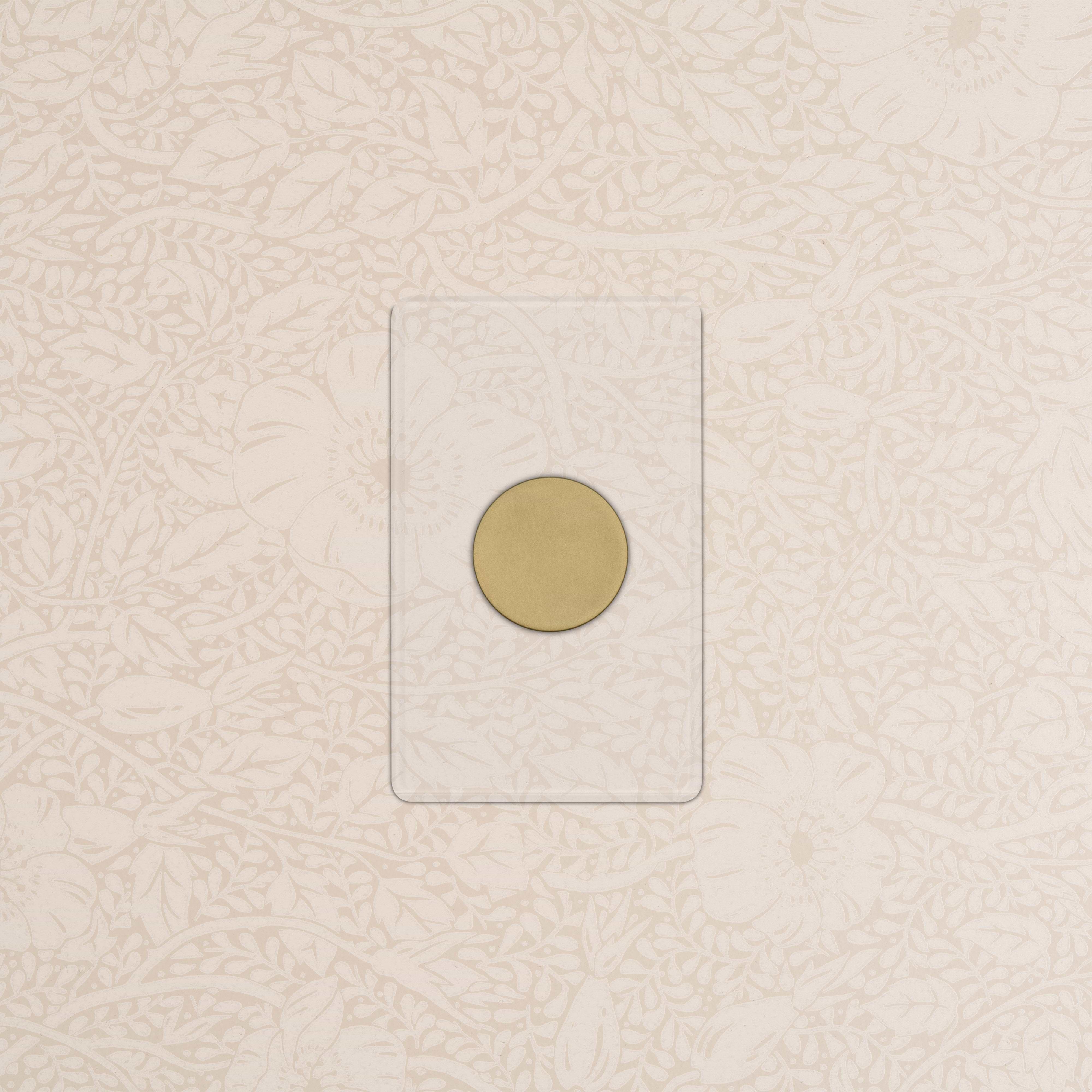 Kew 1G Dimmer Switch - Clear Antique Brass