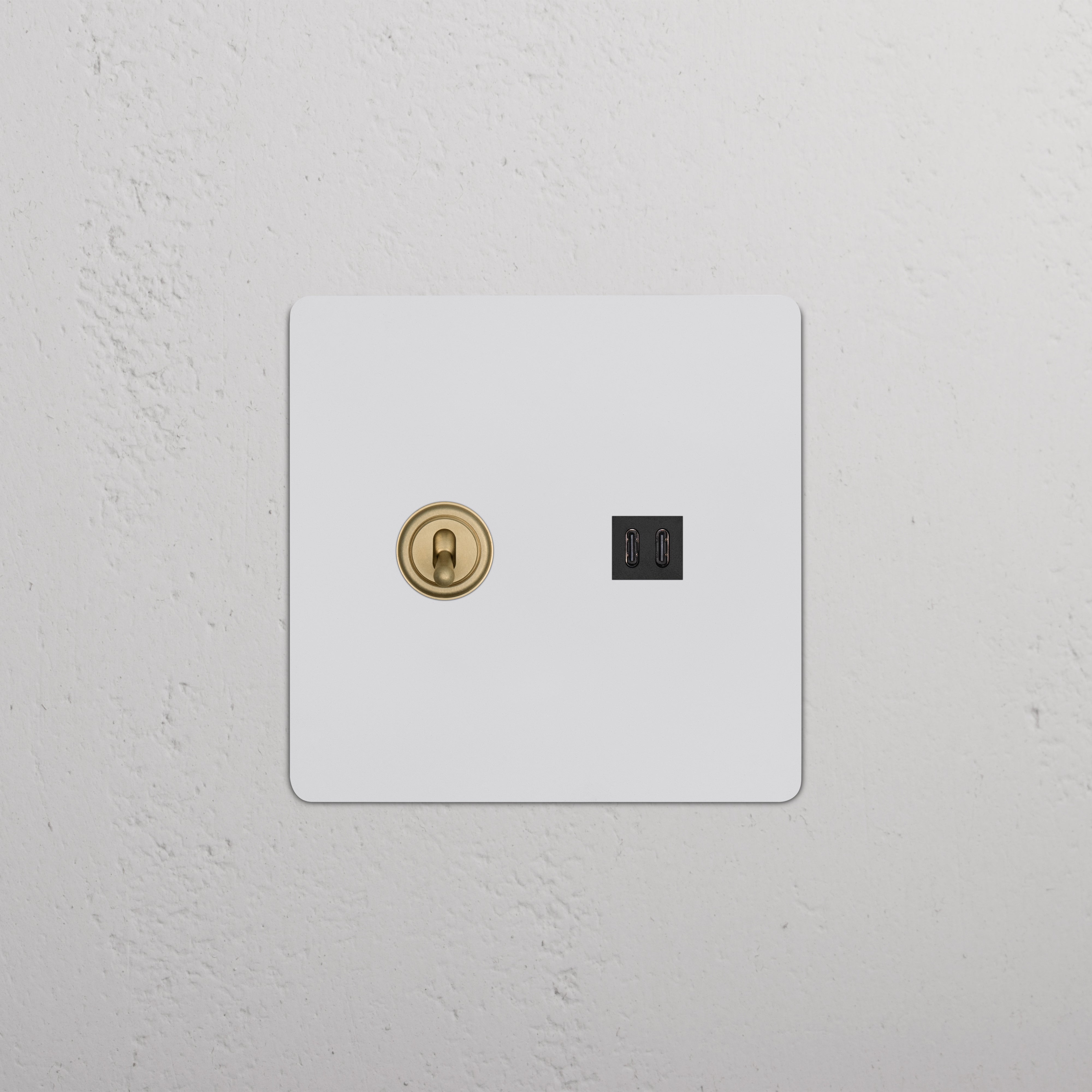 Kew 2G Toggle Switch & Fast Charge USB in paintable antique brass black finish, shown on a white wall.