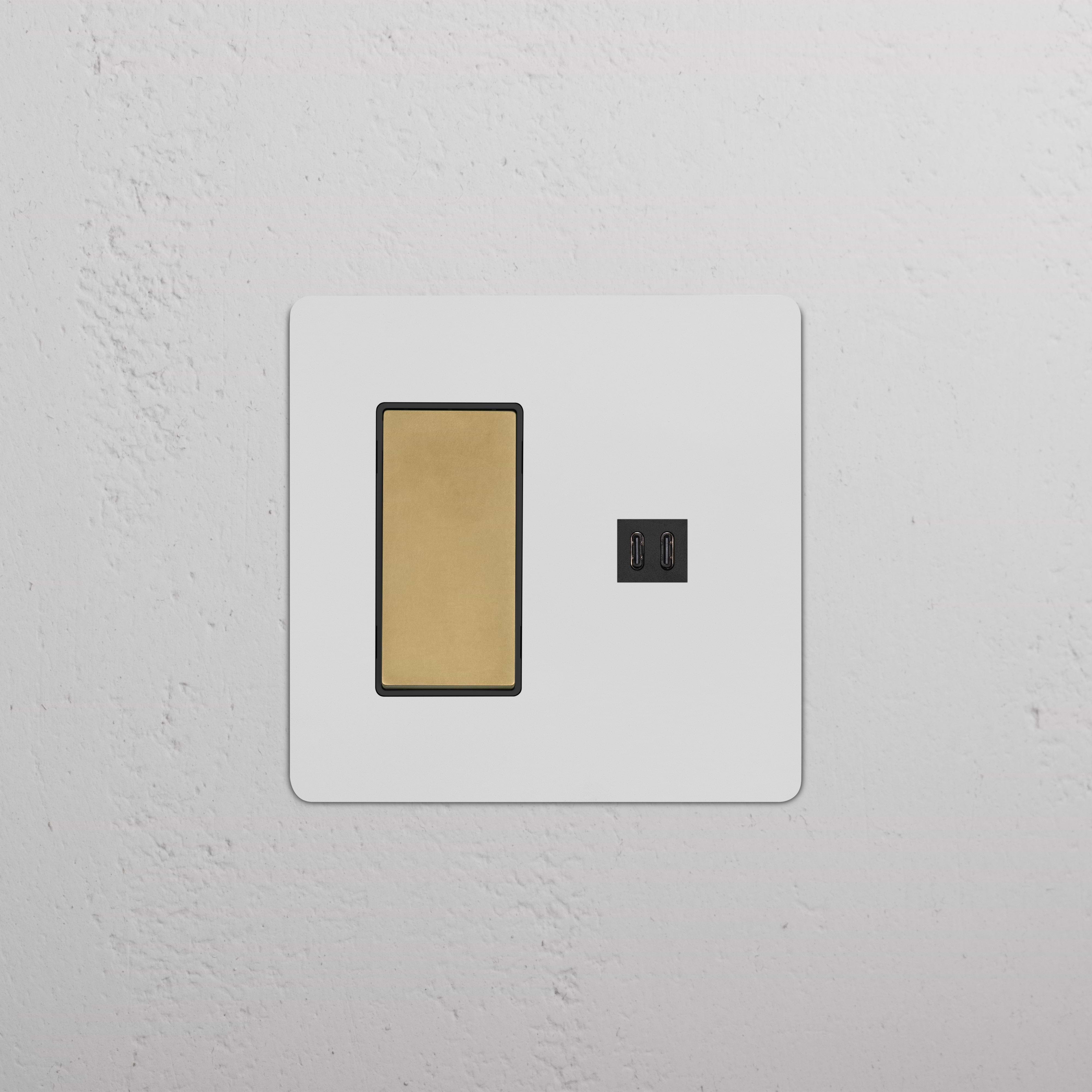 Kew 2G Rocker Switch & Fast Charge USB in Paintable Antique Brass Black on a textured white wall.