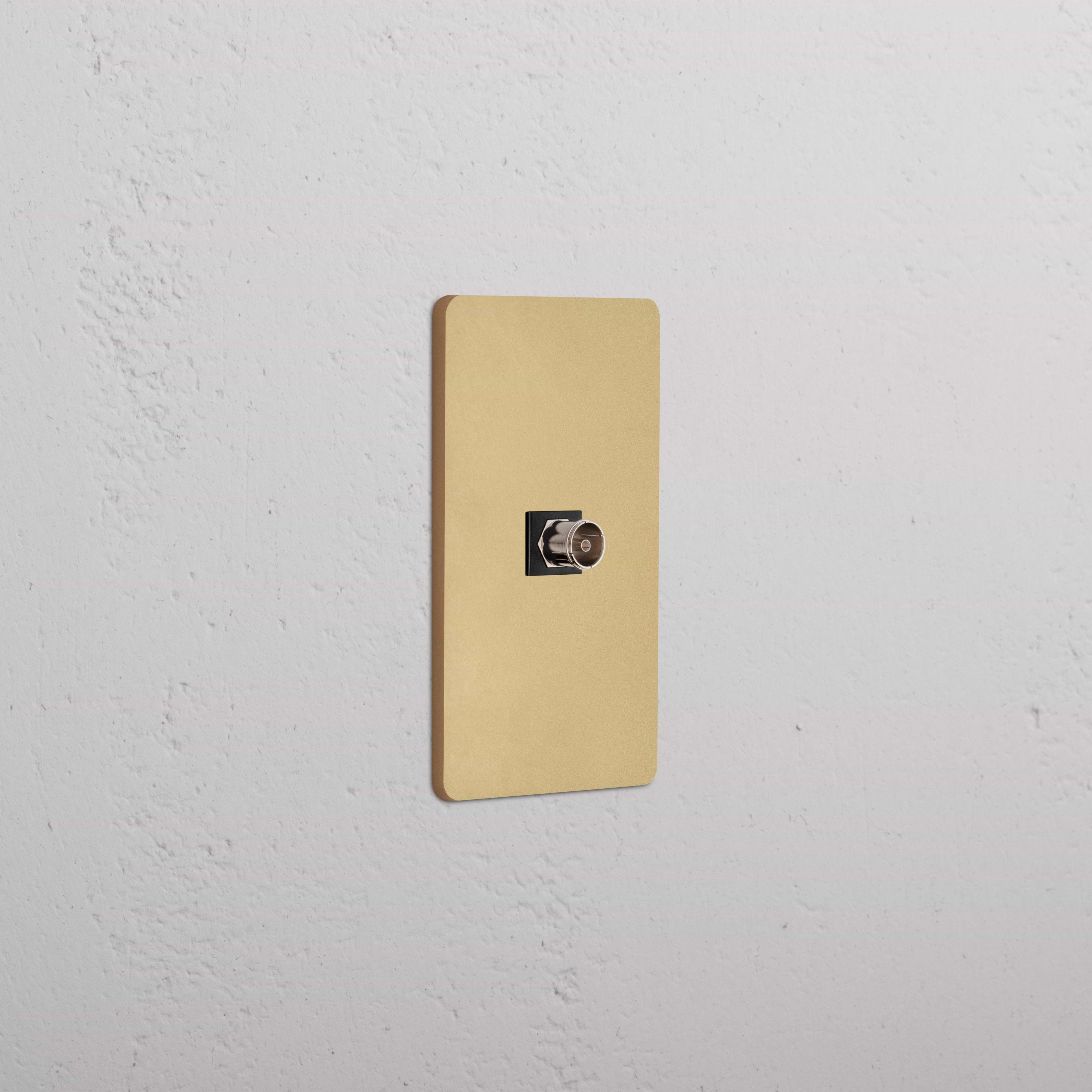 Grove 1G TV Keystone wall plate in Antique Brass Black with a single TV connector, mounted on a white wall.
