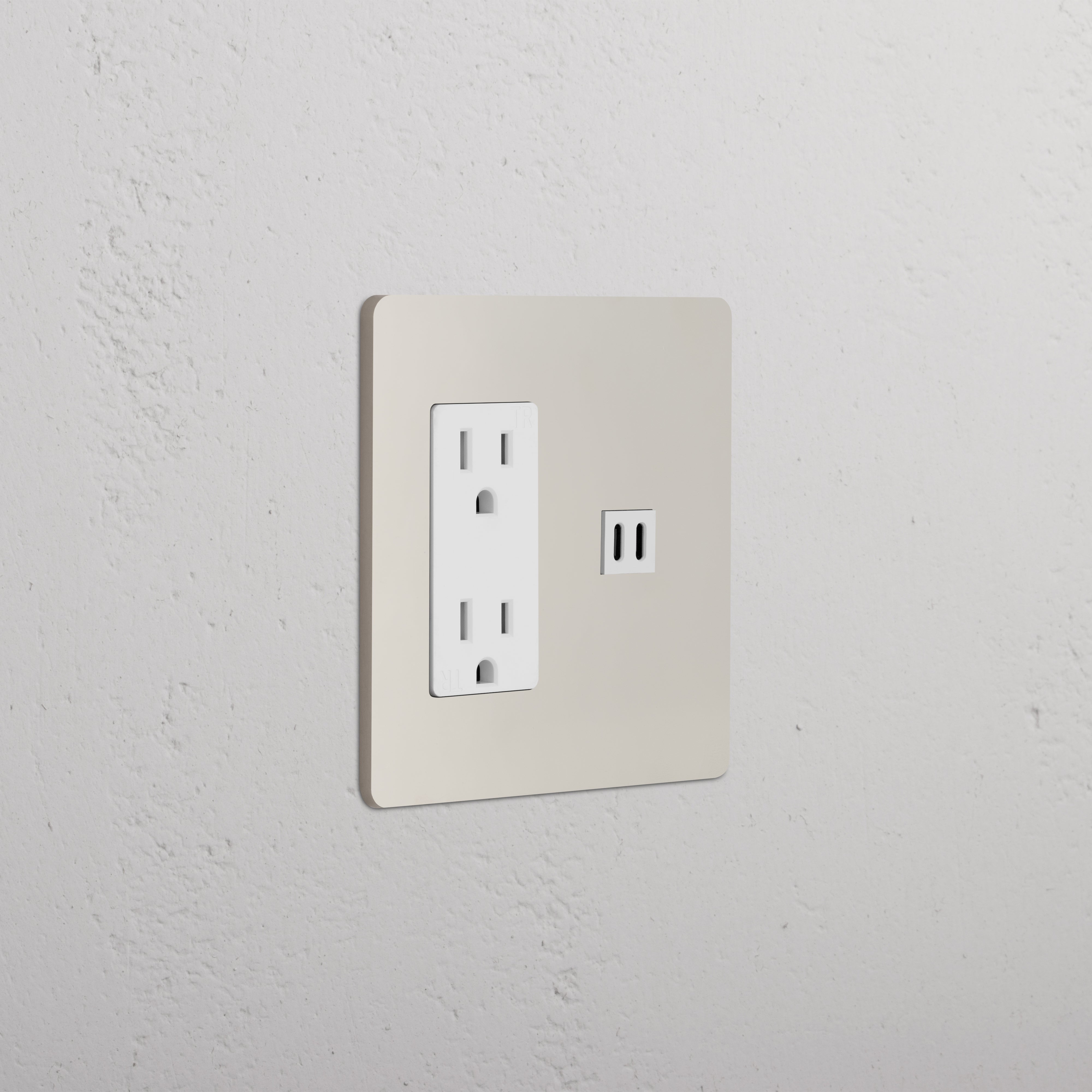 Grove 2G Outlet & Fast Charge USB in polished nickel and white with two power sockets and dual USB ports.